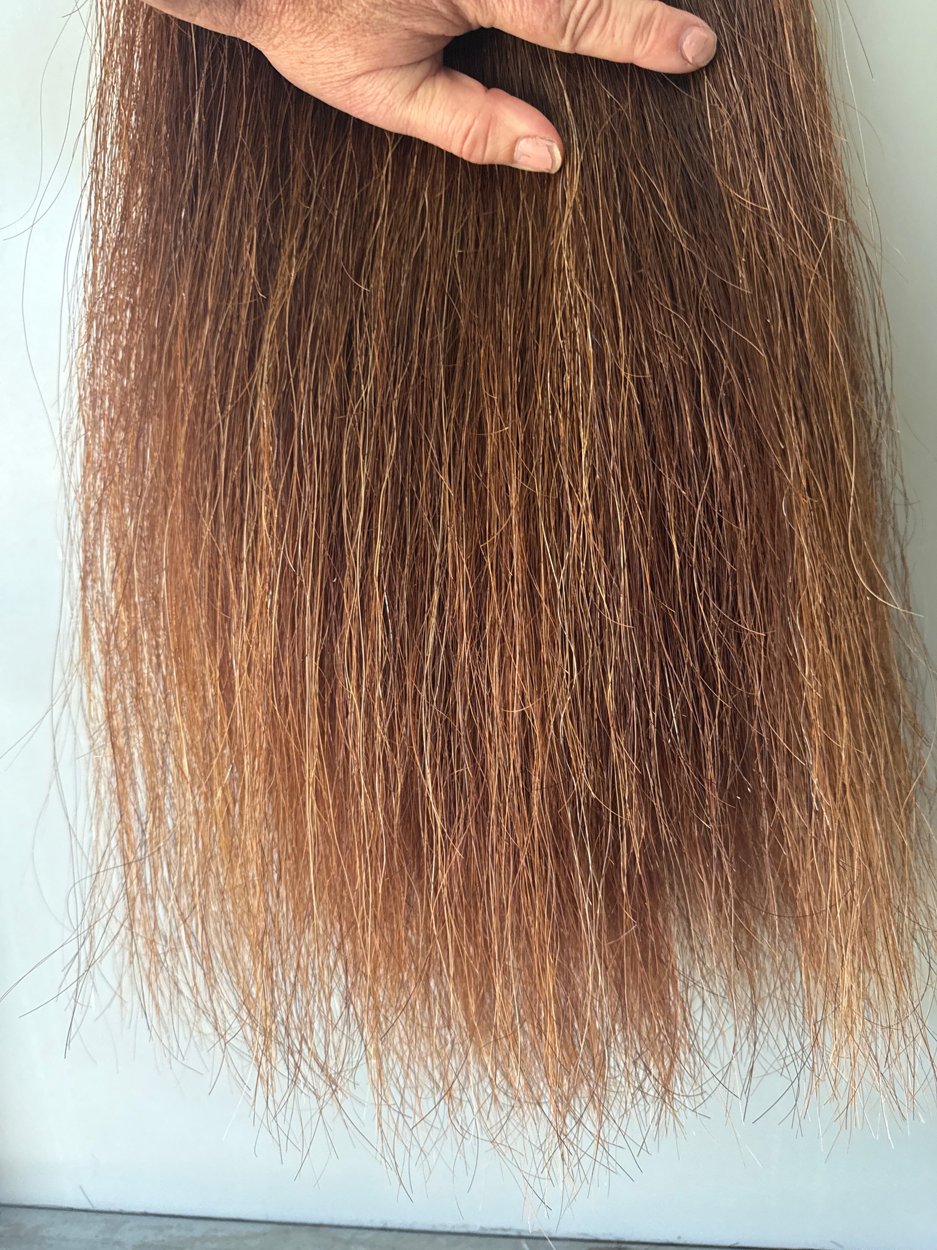 Chestnut mix blend 70 cm natural end 70 cm Double plus 2.5-2 3/4 times ) 480g