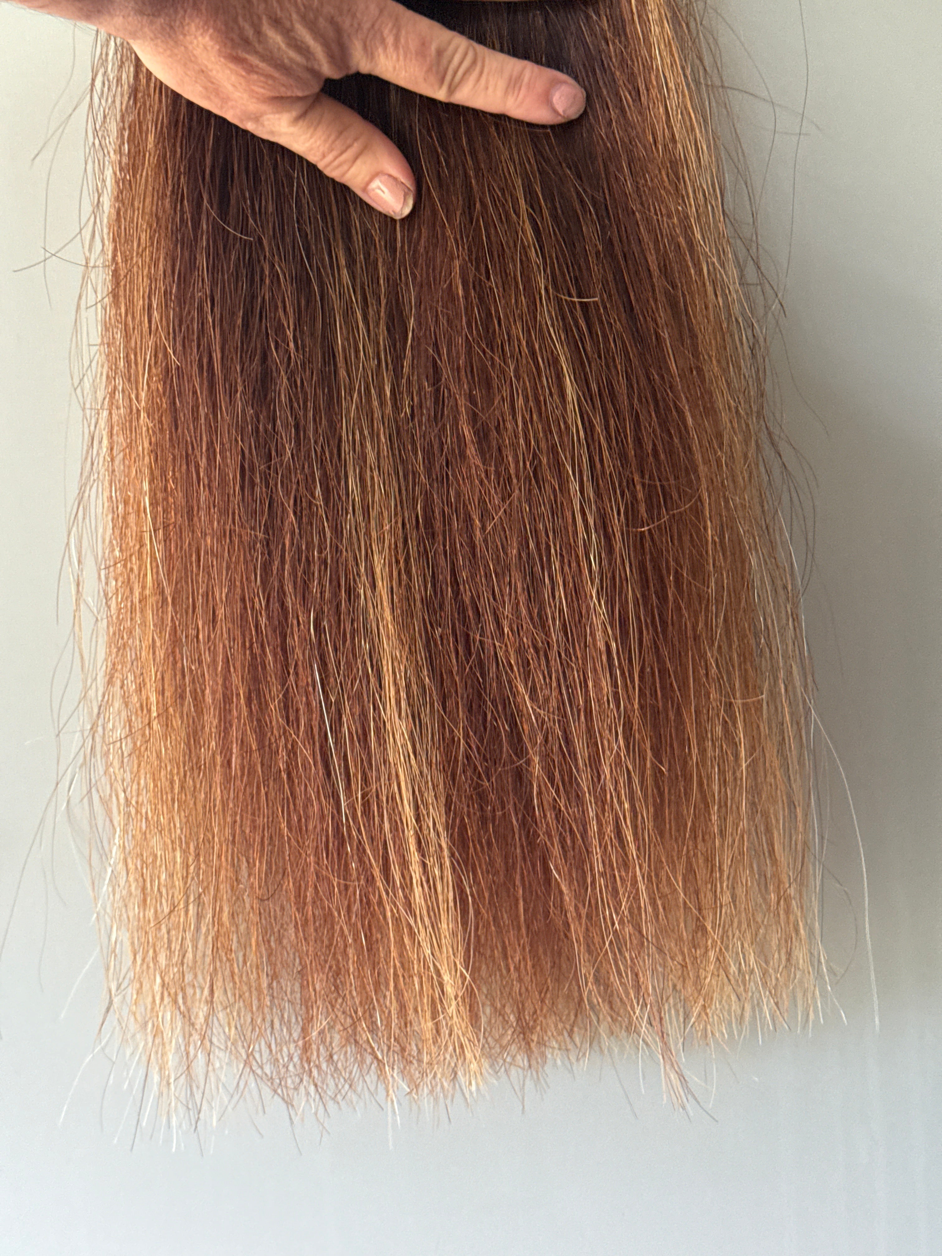 Chestnut mix Blend 60 cm  natural end Full plus ( 1.5 times  )