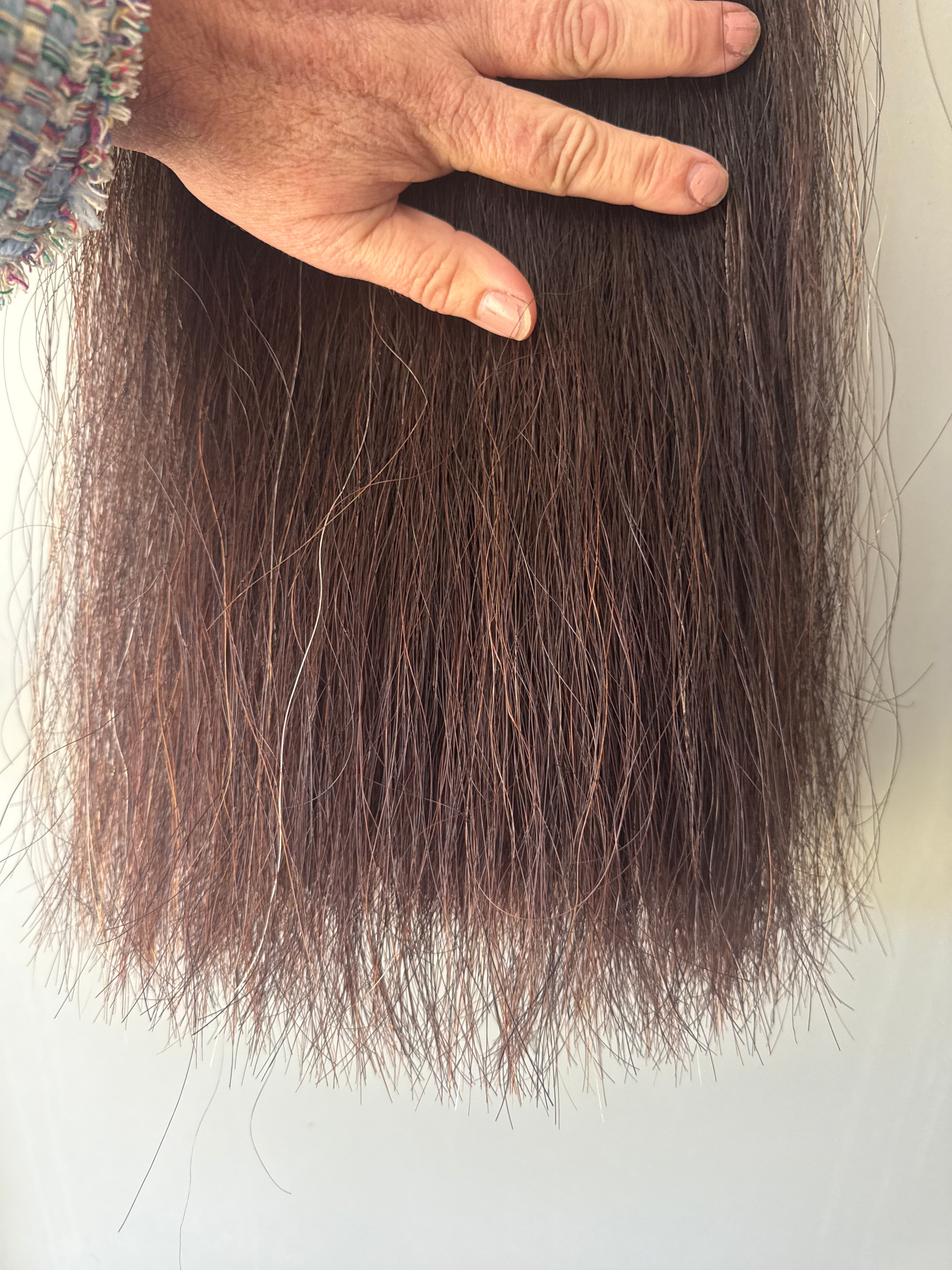 Weighted Liver chestnutFull plus 1 1/4 times ( 200g weight added ) thickness 61 cm long suit pony final weight 480g