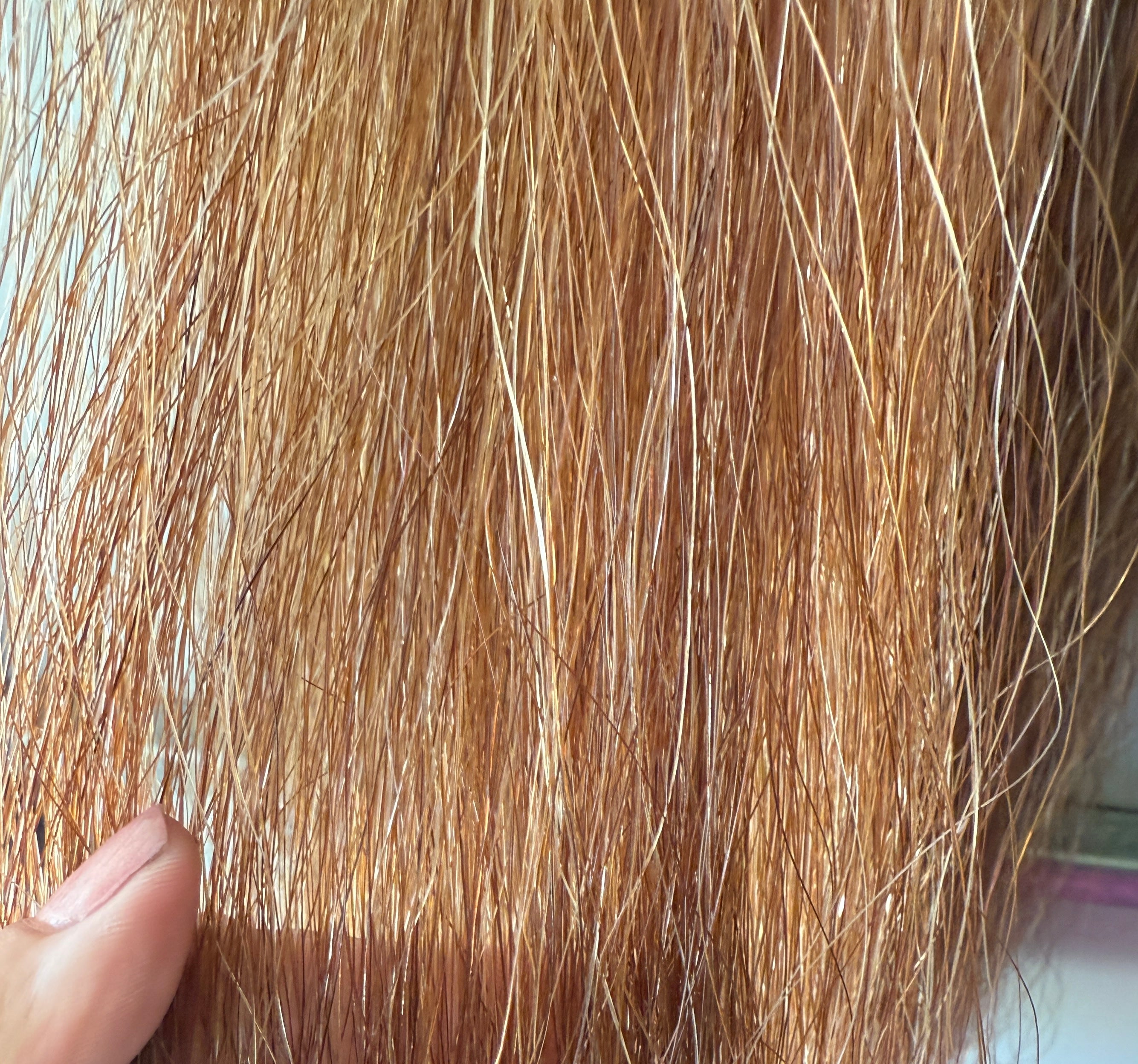 Qhorse length 100 cm  cut end Double thickness. Lighter golden chestnut flaxen mix