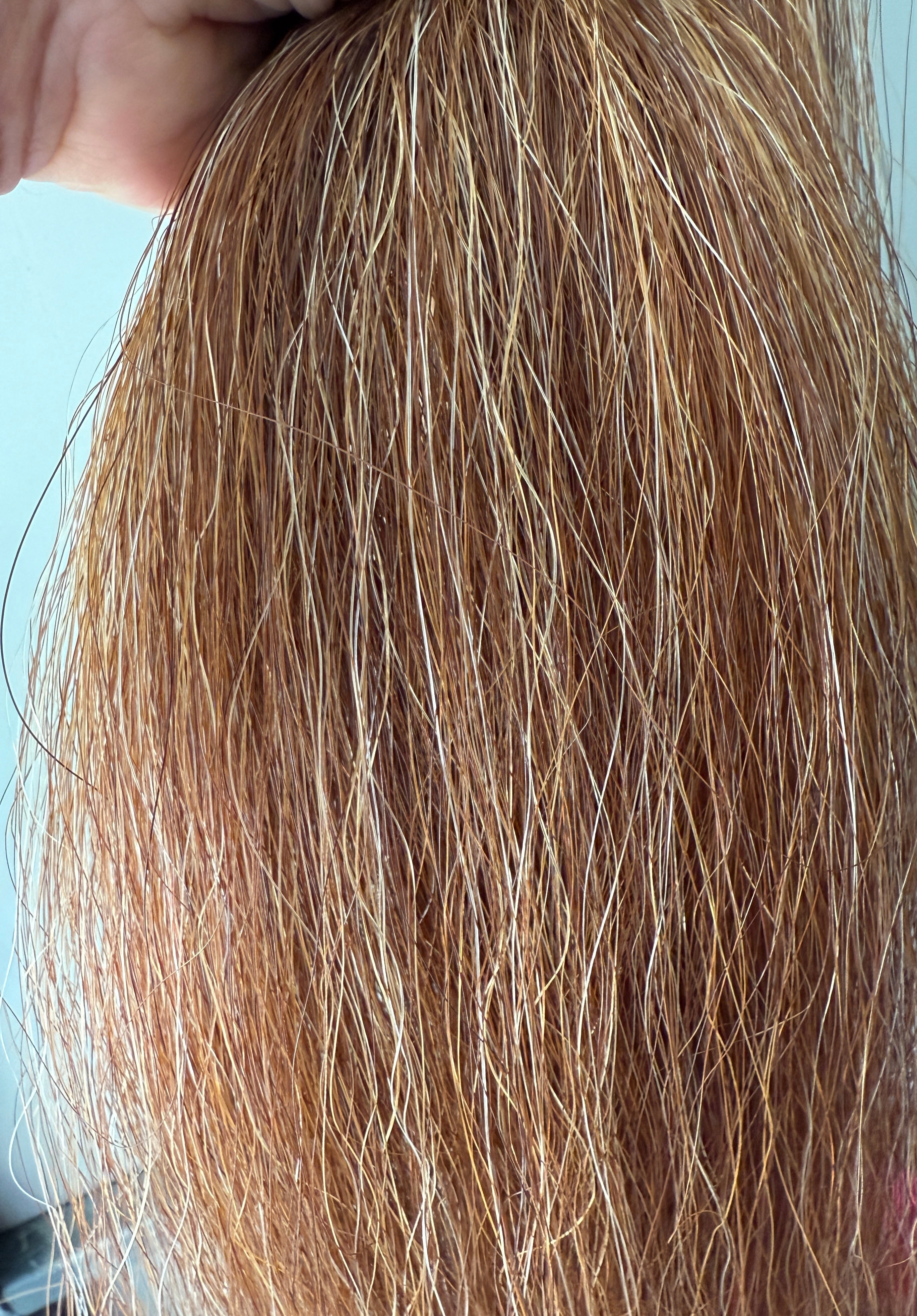 Qhorse length 100 cm  cut end Double thickness. Lighter golden chestnut flaxen mix