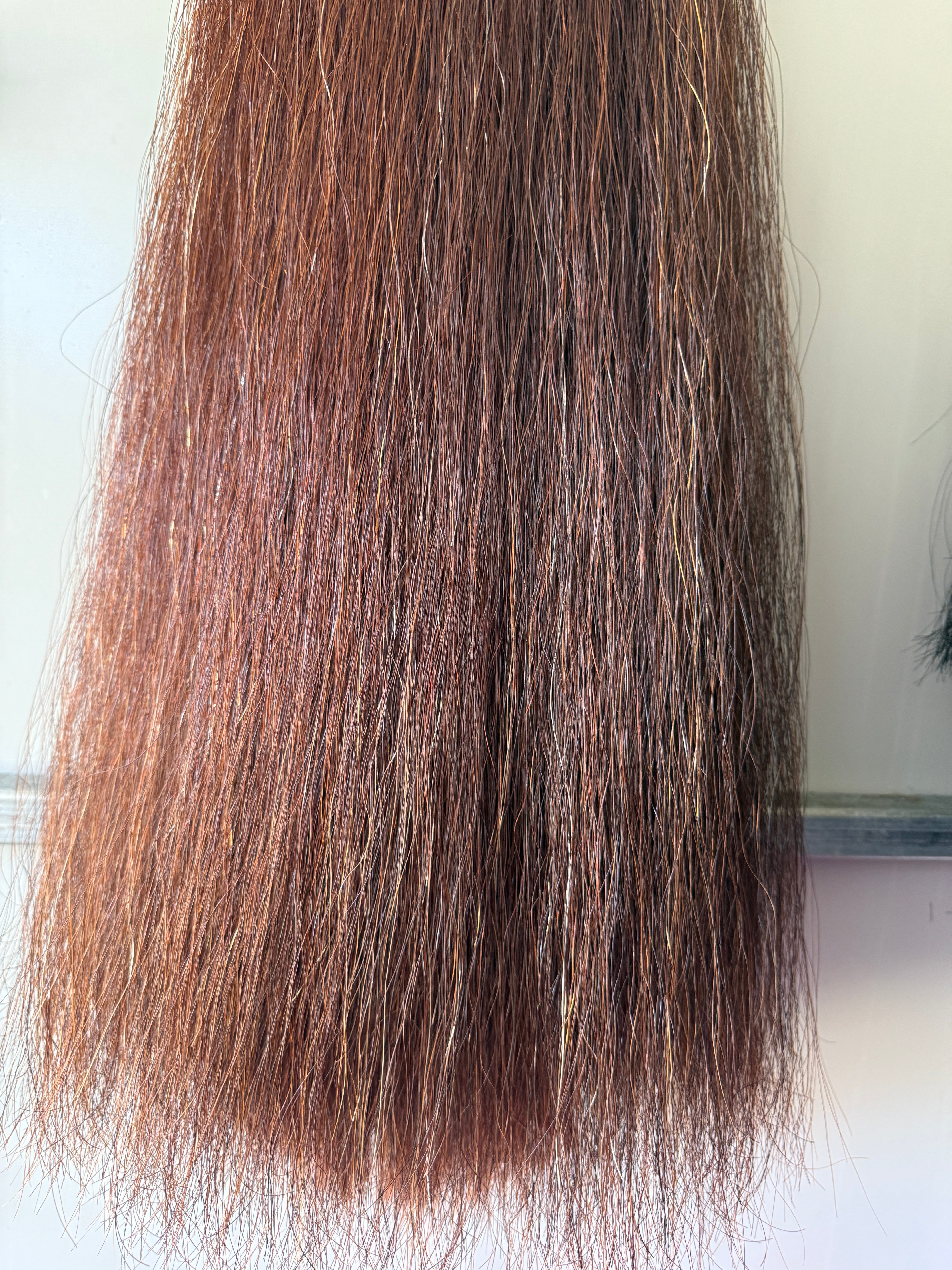 Qhorse Length 100 cm cut end Dark red (almost liver ) big Tripe 780g of hair