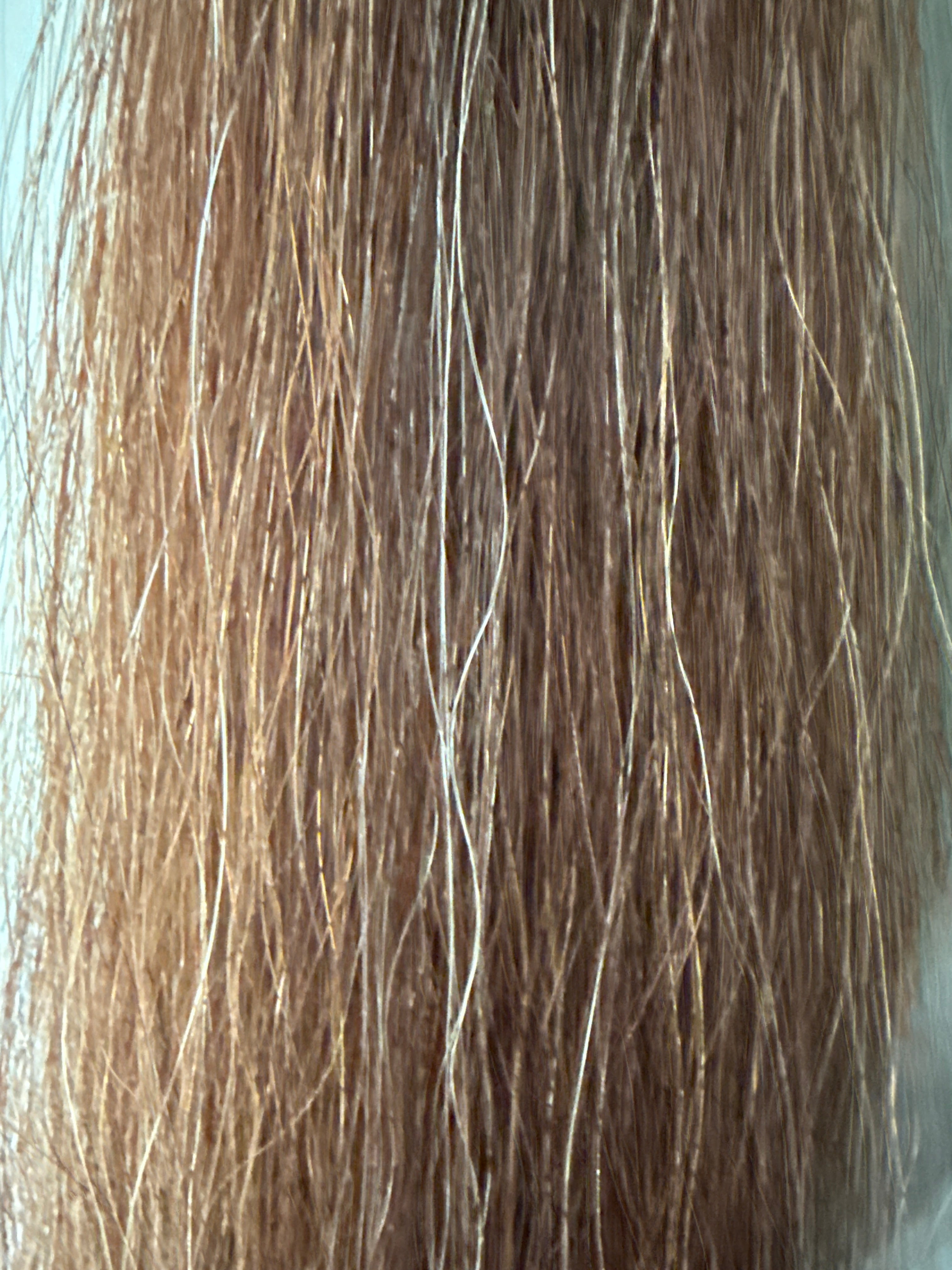 chestnut flaxen blend single Thickness 62 cm cut end