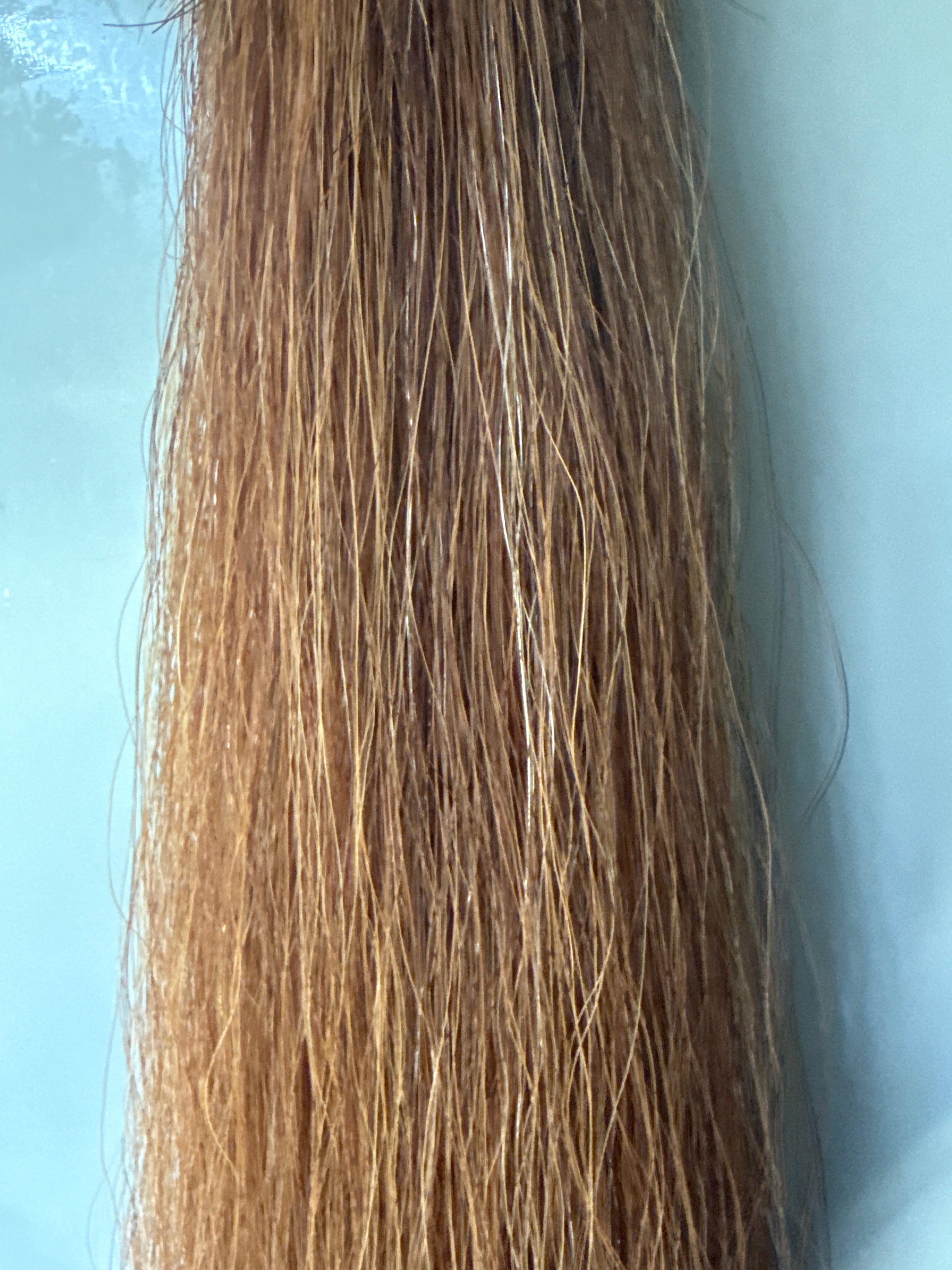 light ( golden) Chestnut Blend 86 cm Stockhorse / Dressage length Full plus (1.5 times ) 300g of hair