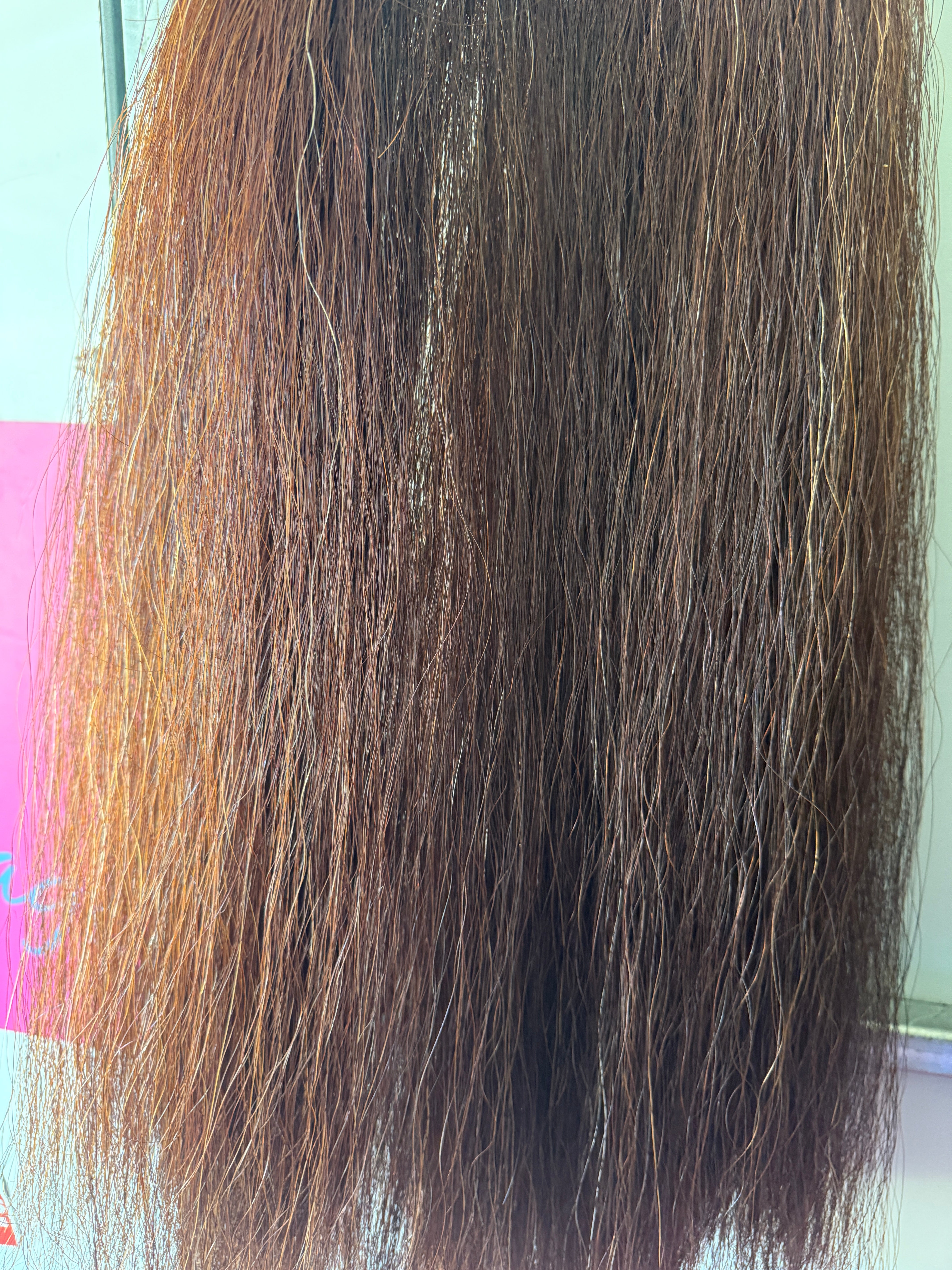 Qhorse Length 100 cm cut end Dark red (almost liver ) big Tripe 780g of hair