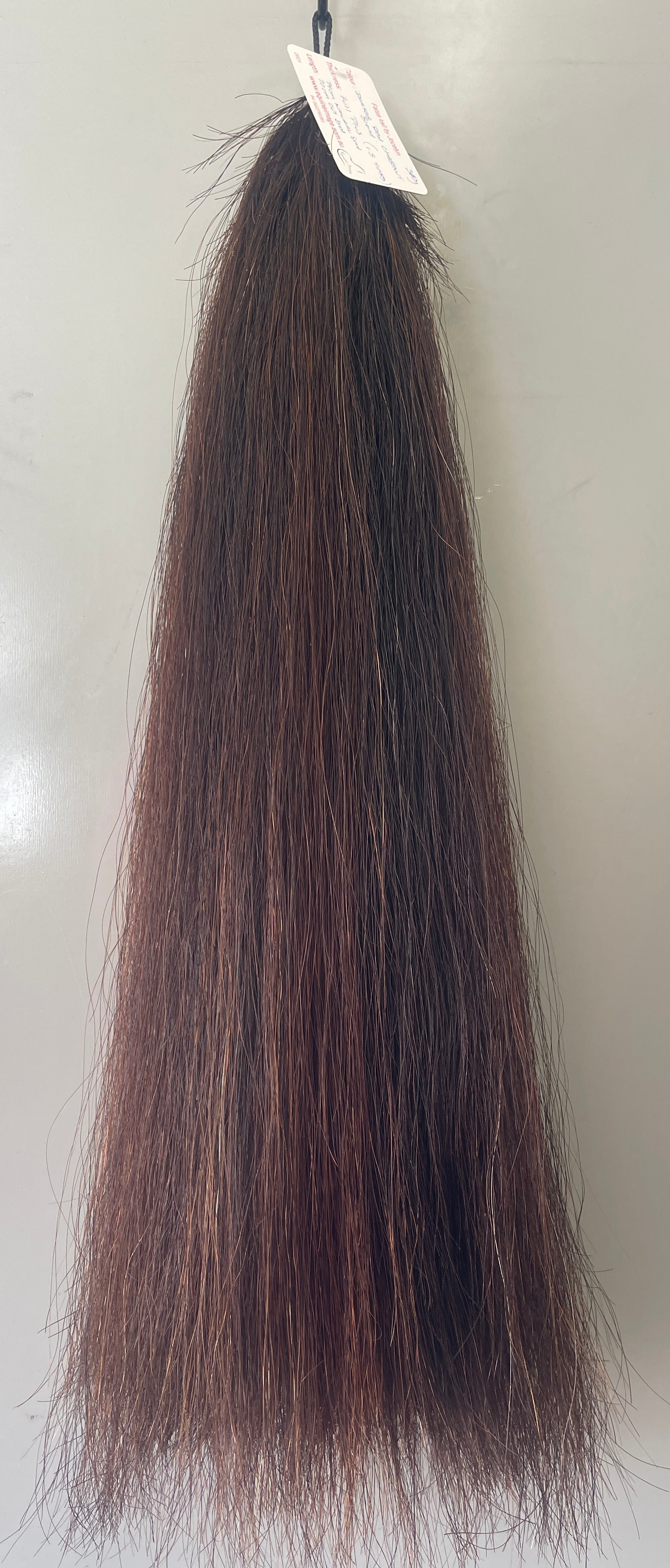 Darker red chestnut Blend 74 cm natural end Full plus (1.5 times )
