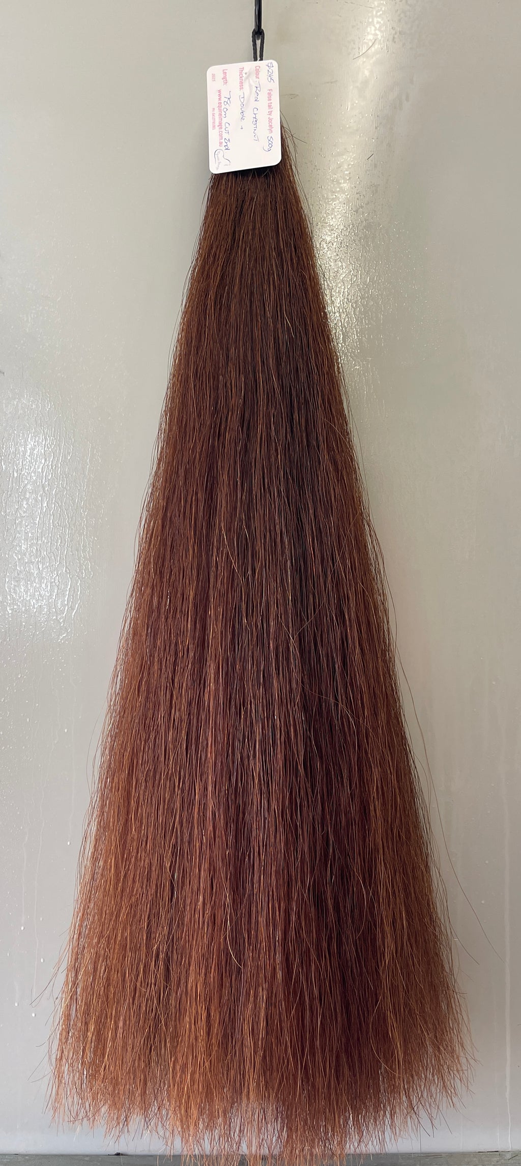 Red chestnut Double plus ( 2.5 times ) 78 cm cut end
