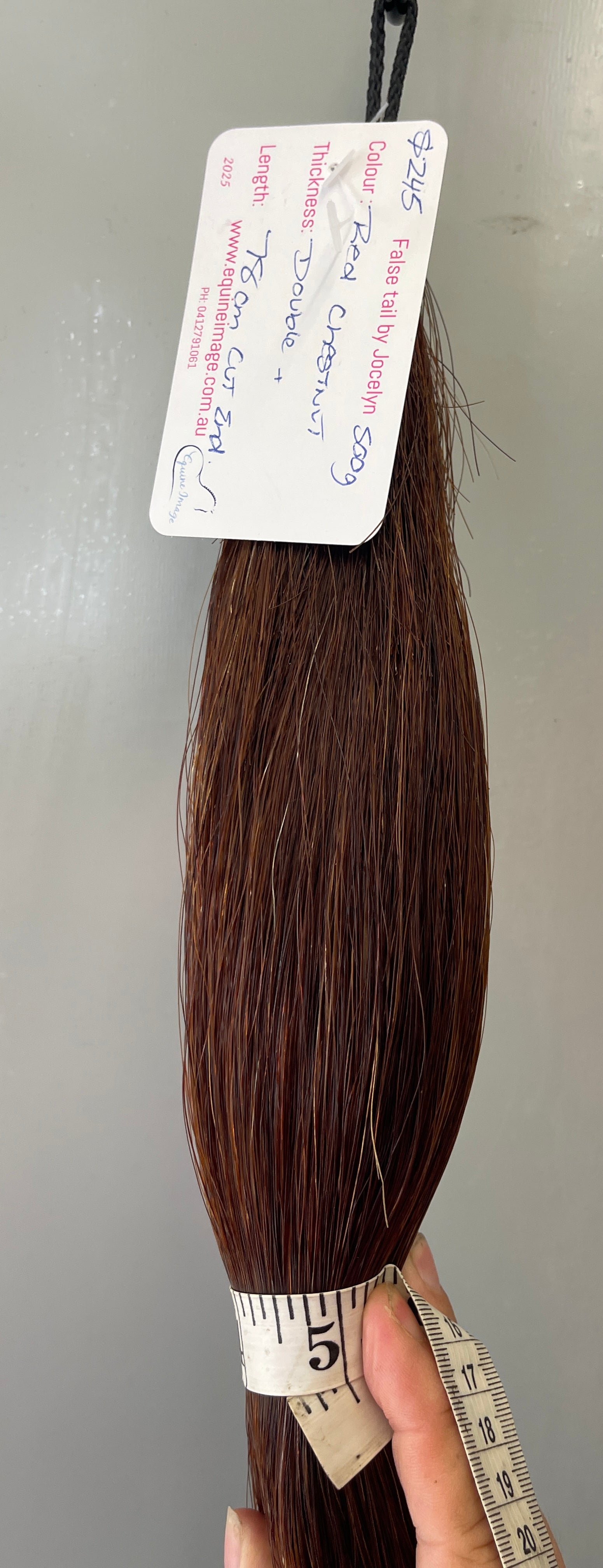 Red chestnut Double plus ( 2.5 times ) 78 cm cut end