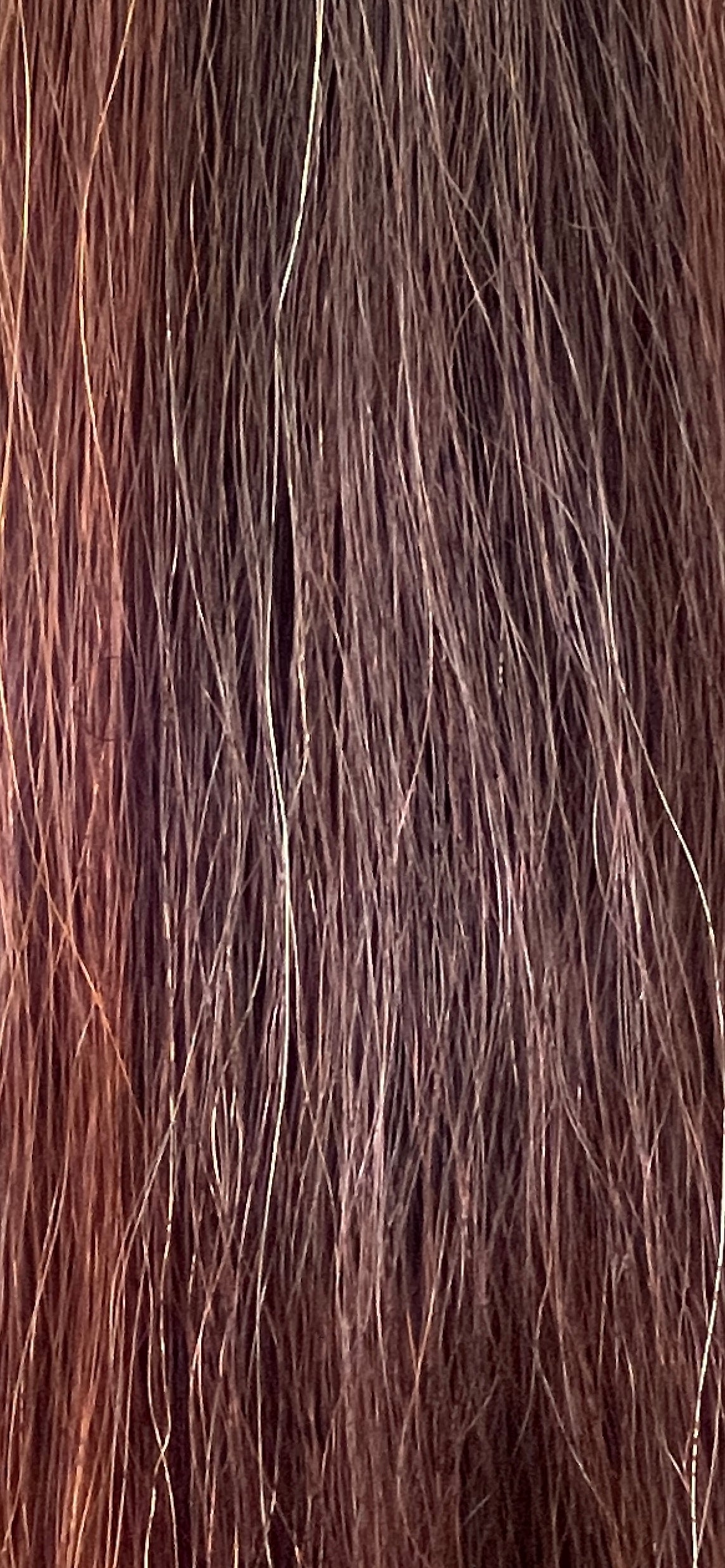 Darker red chestnut Blend 74 cm natural end Full plus (1.5 times )