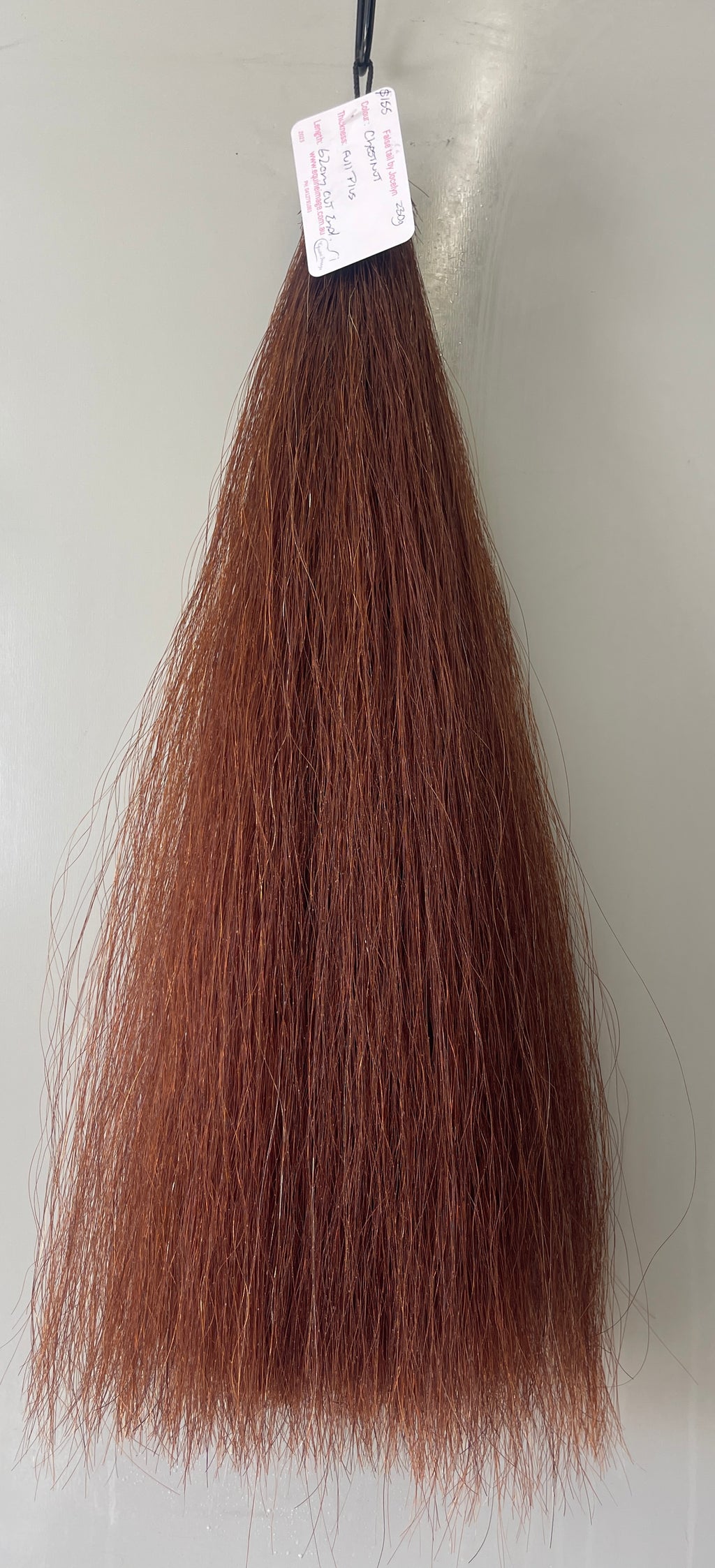 Chestnut full + 62cm