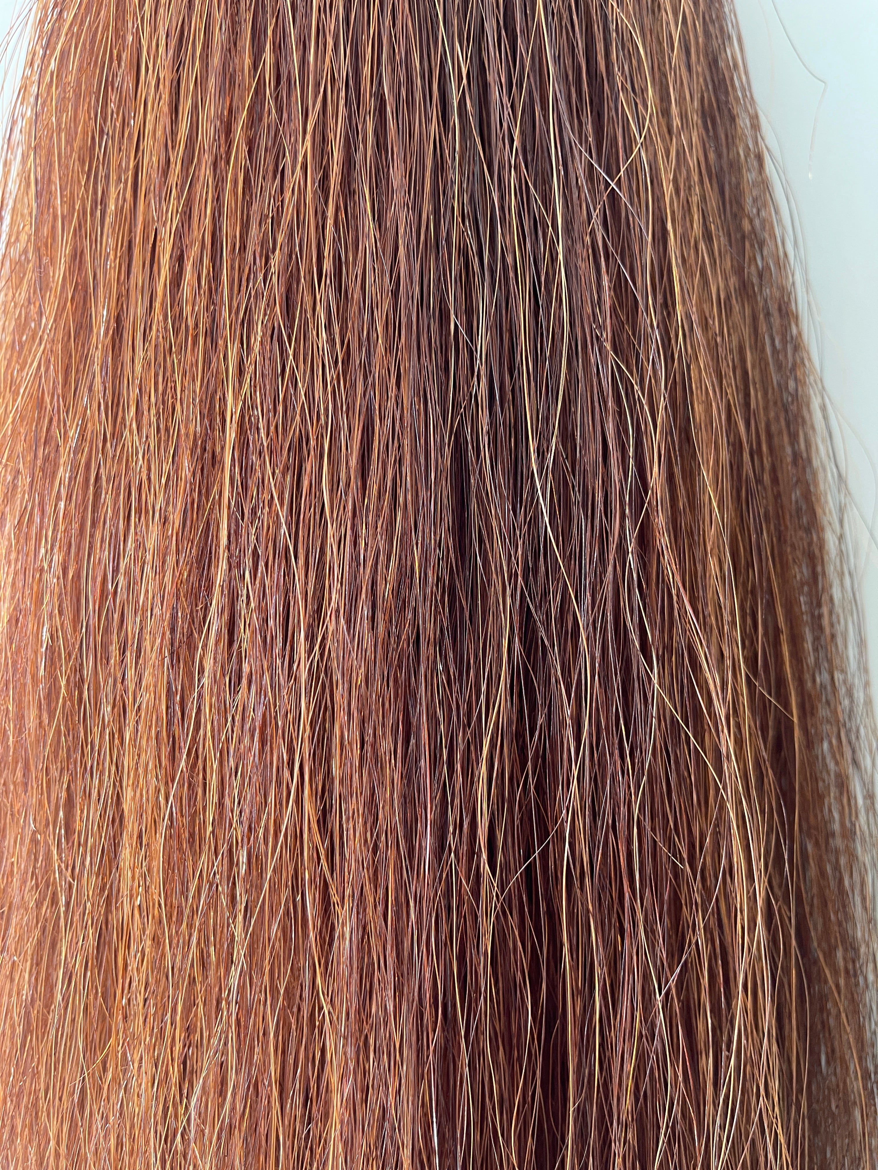 Chestnut blend Double plus about 2.5 times  71 cm natural end