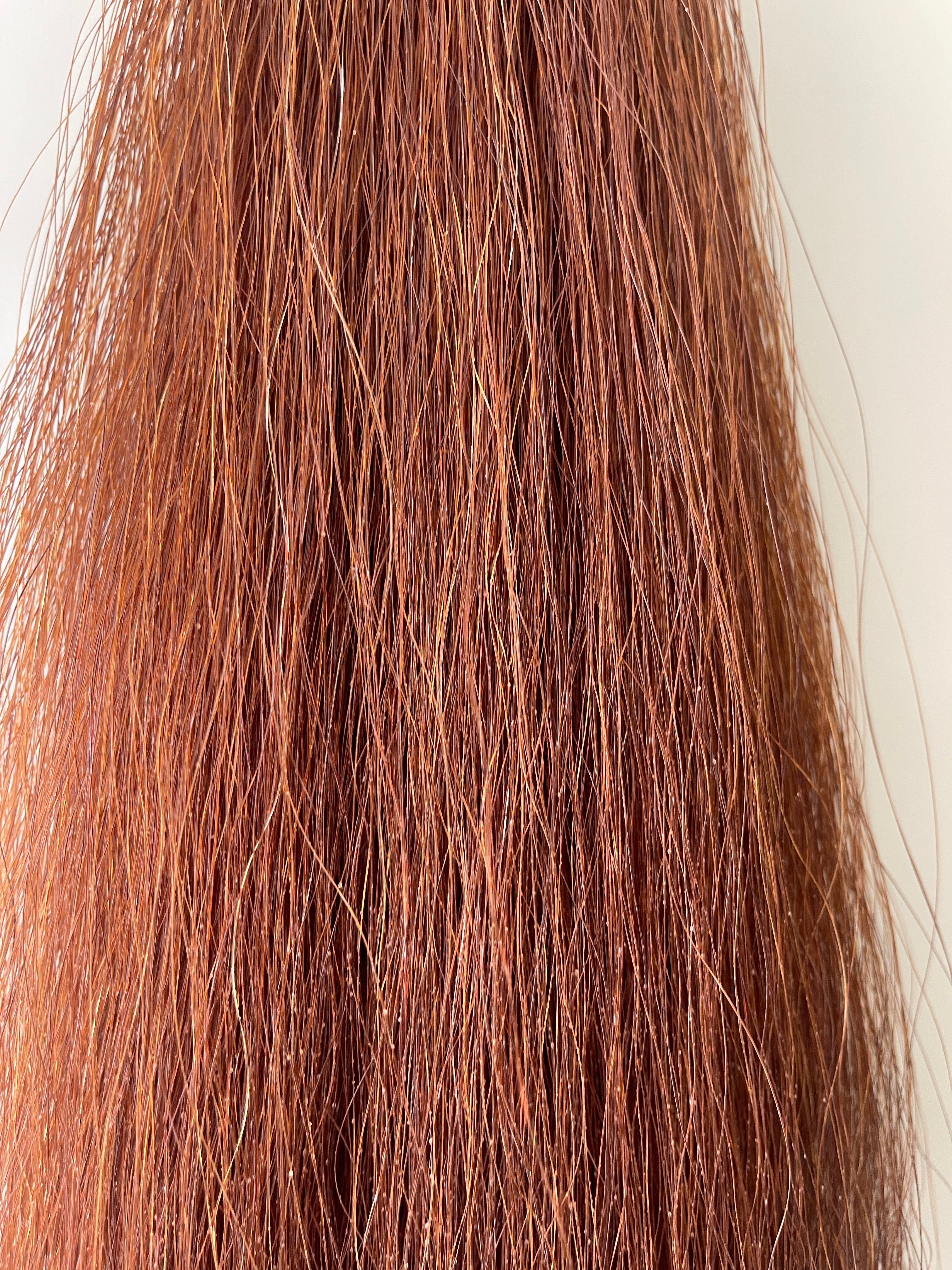 Chestnut full + 62cm