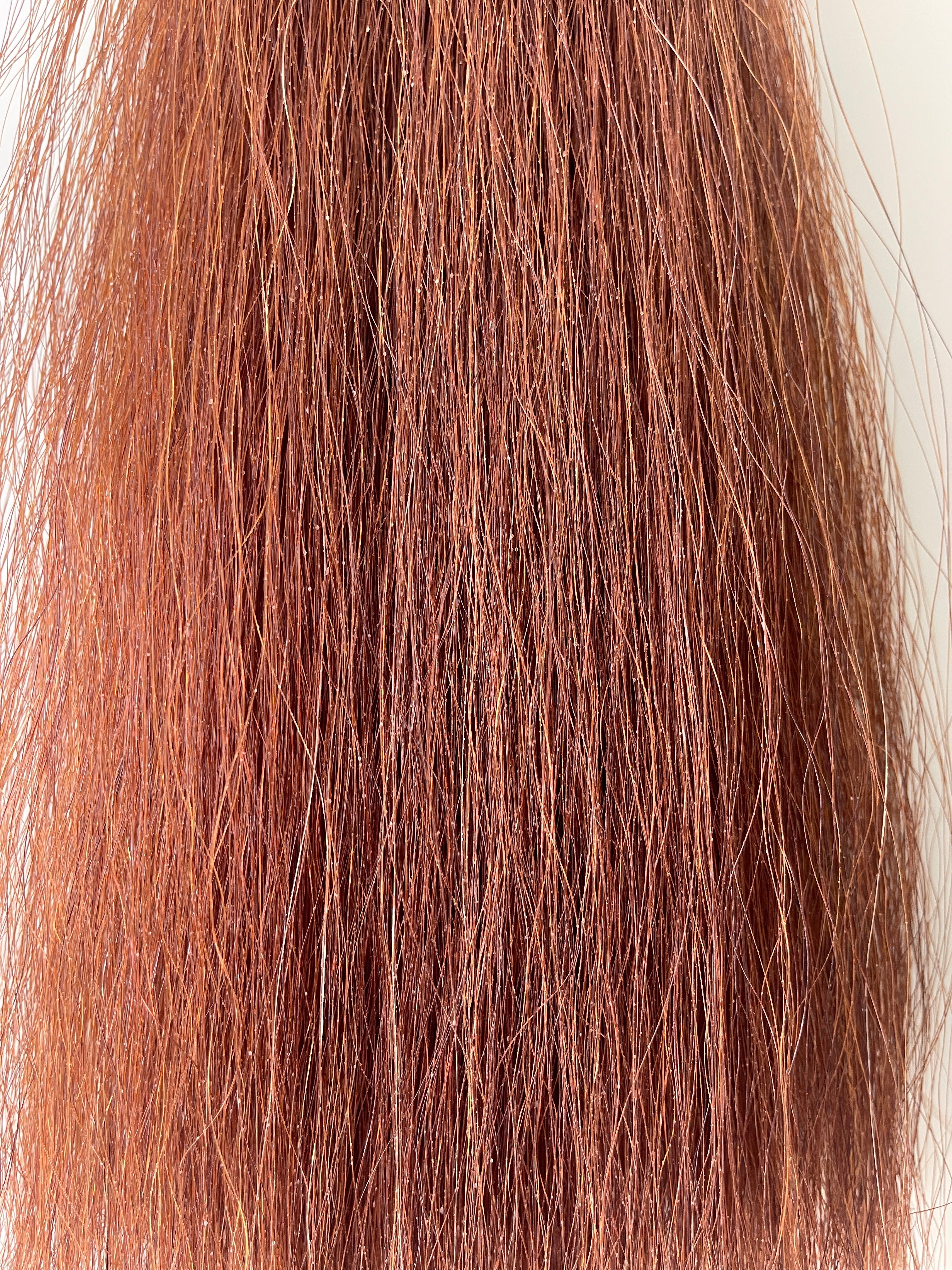 Chestnut full + 62cm