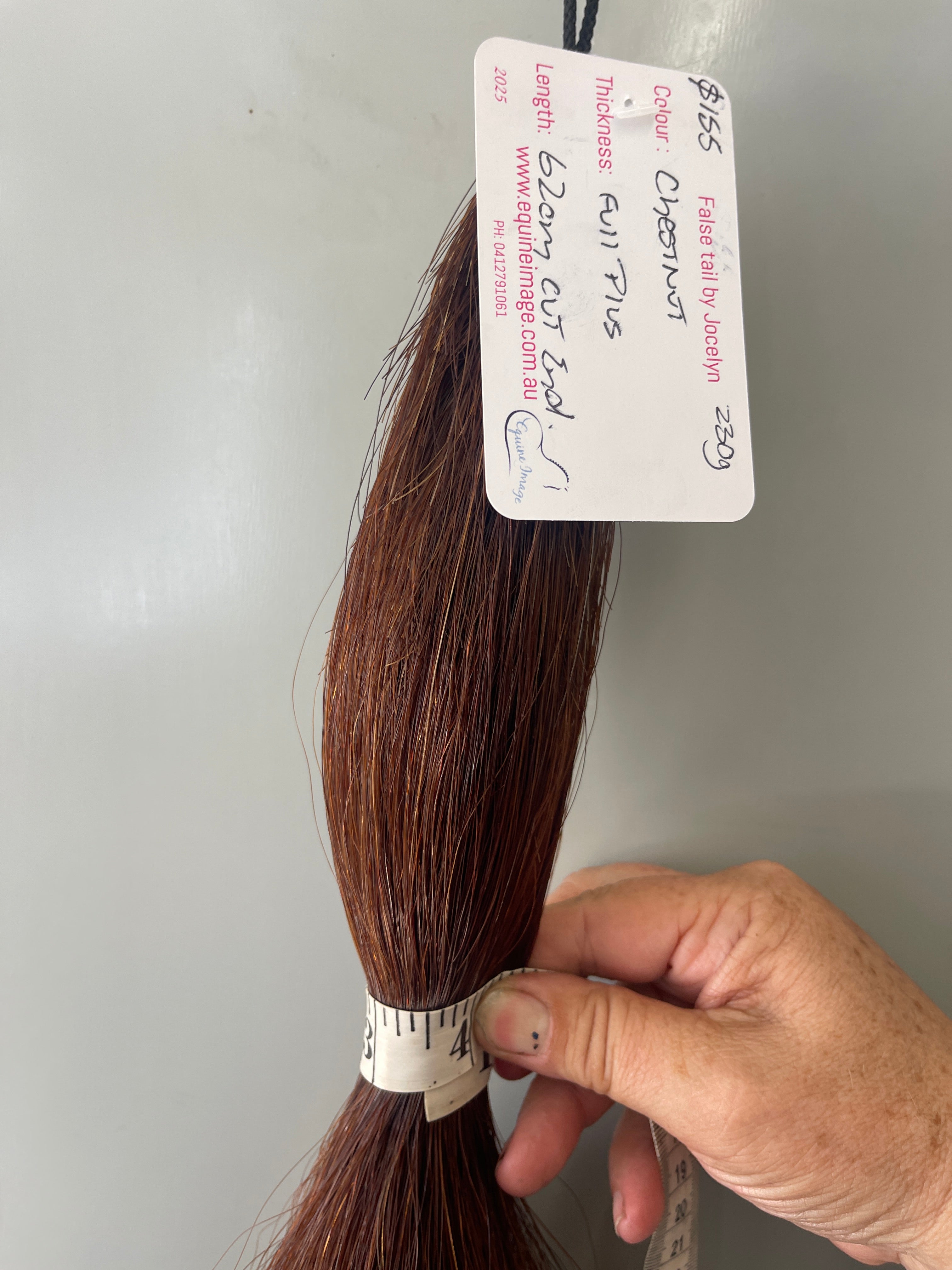 Chestnut full + 62cm