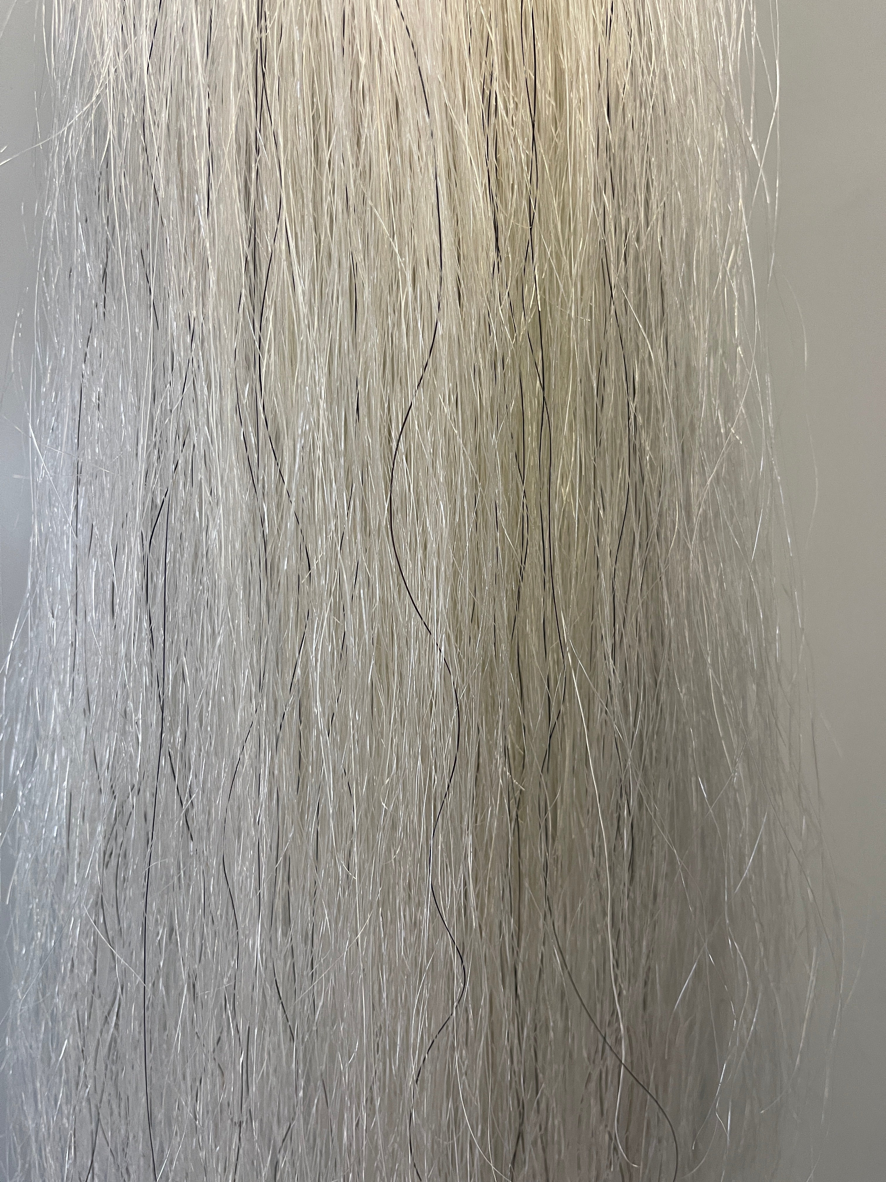 Light grey Filler - small single yearling- young stock 61 cm natural end 140g