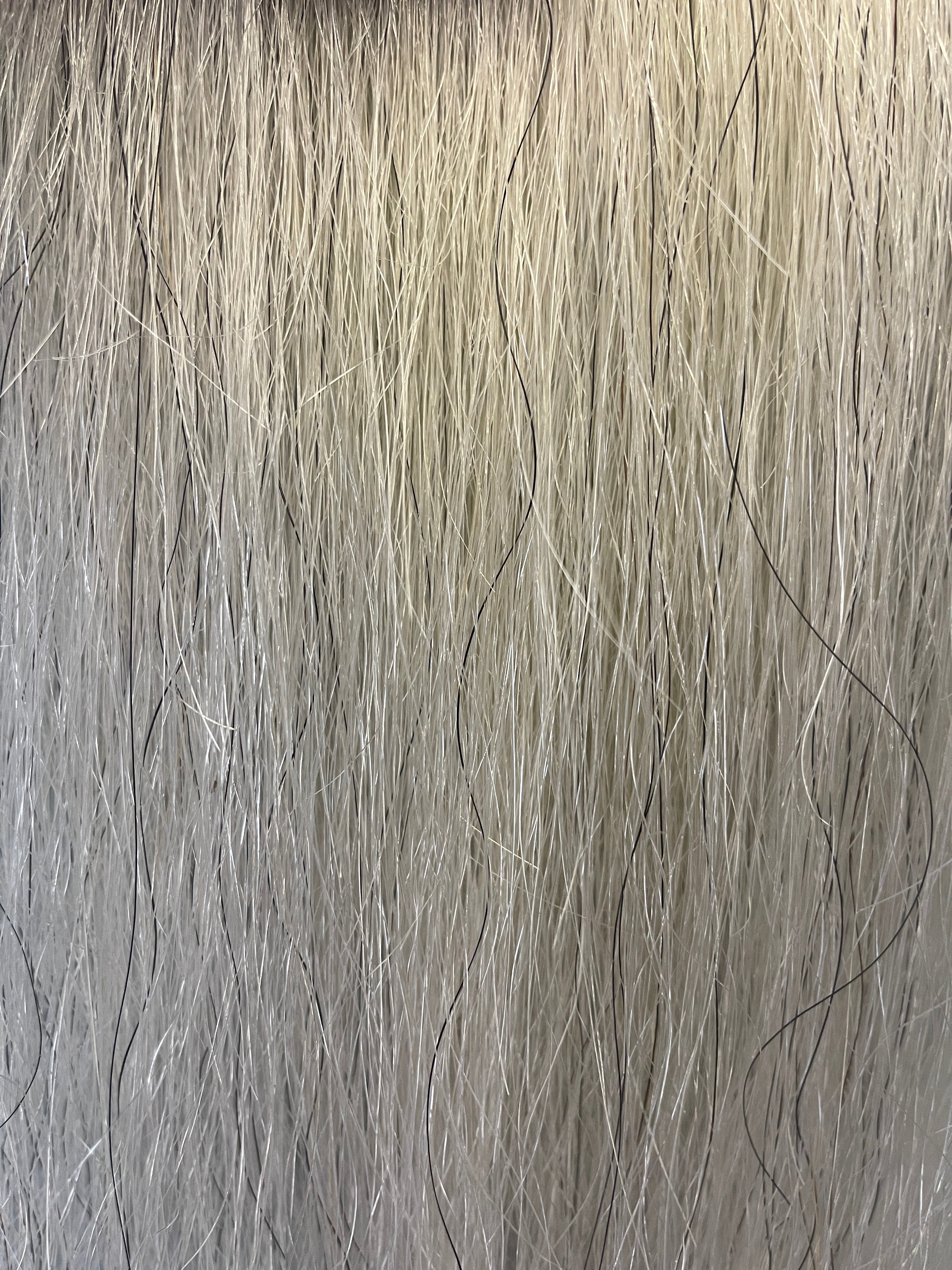 Light grey Filler - small single yearling- young stock 61 cm natural end 140g