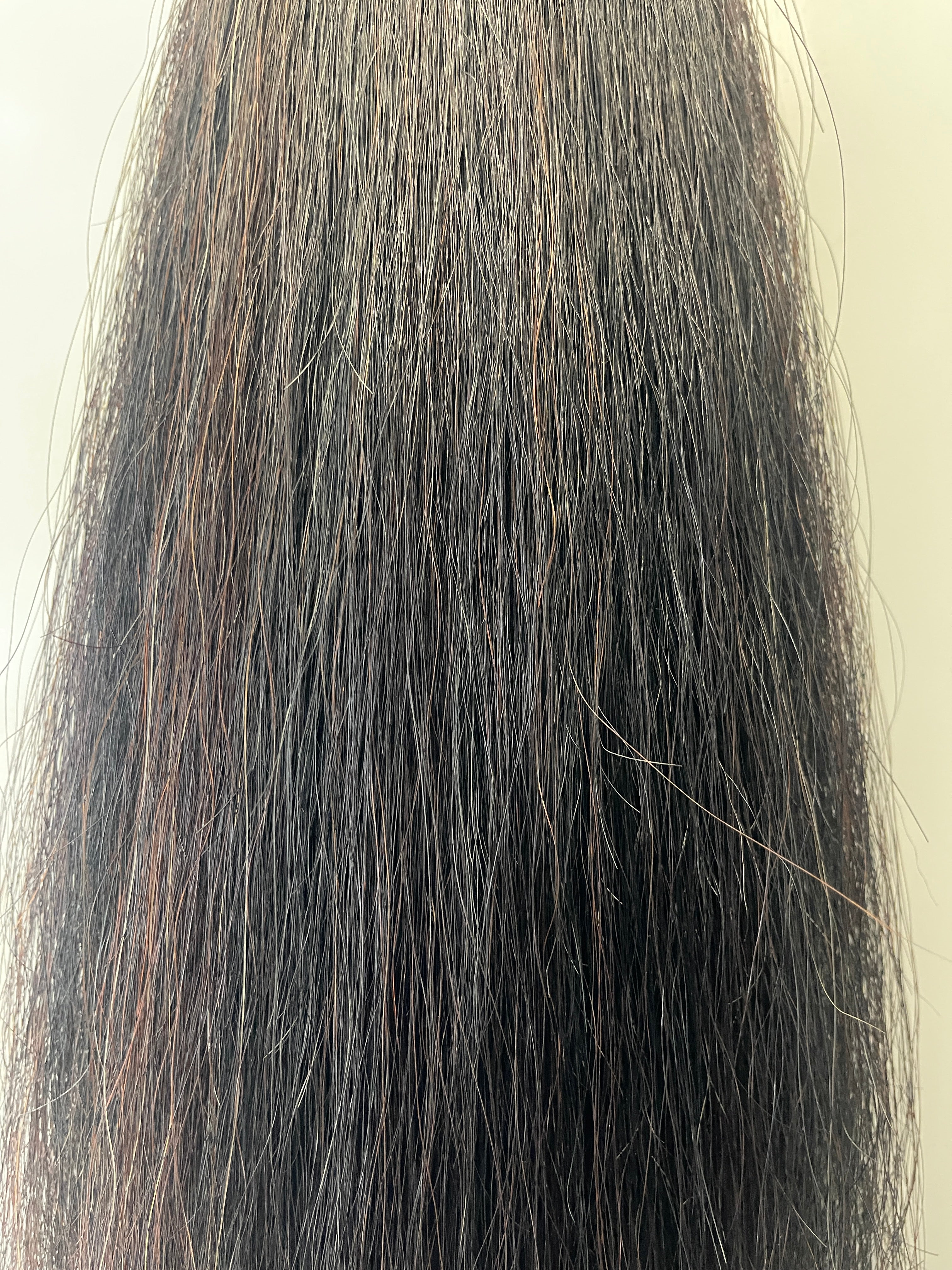 Liver/ Black 70 cm long Double Thickness