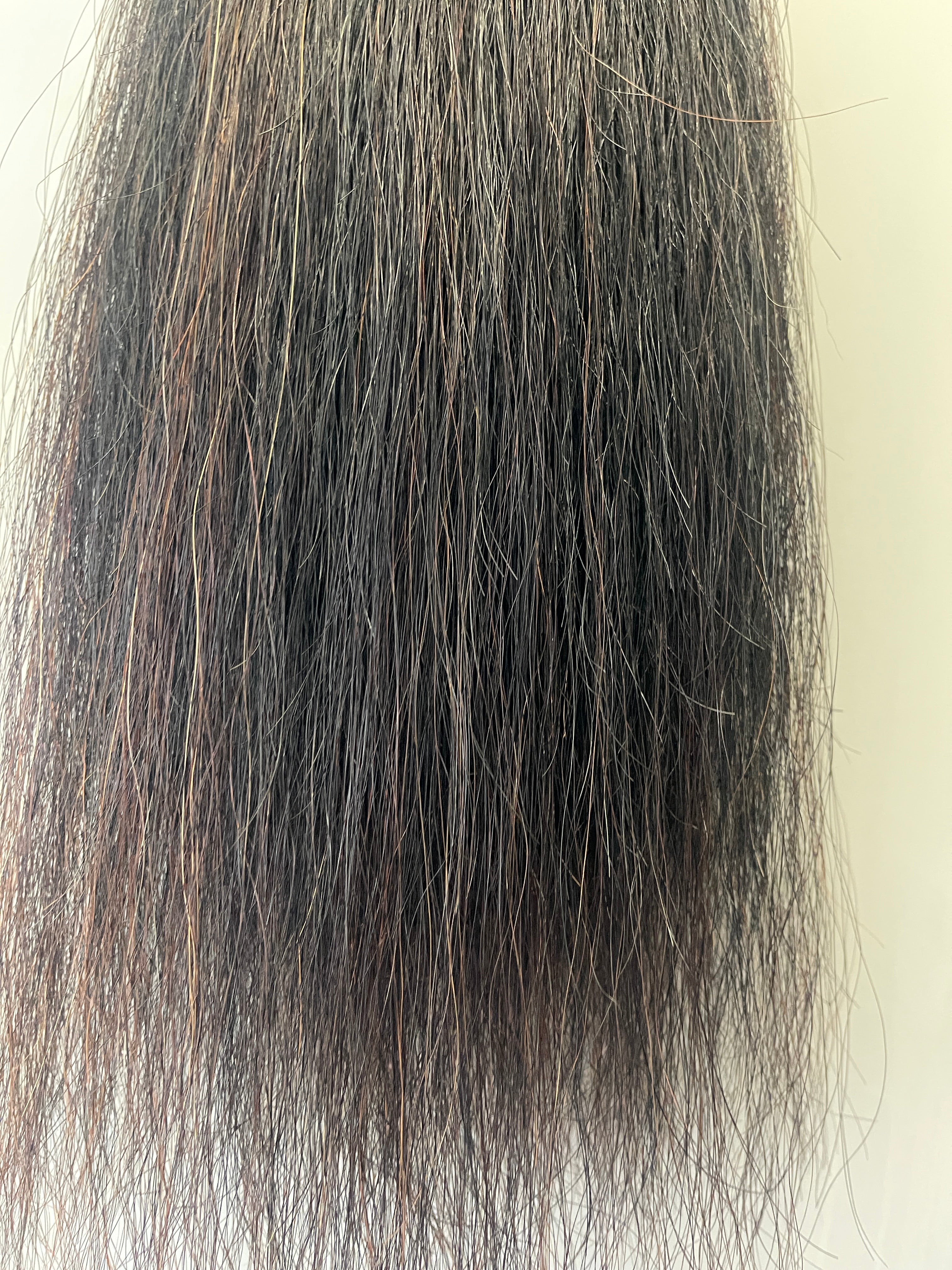 Liver/ Black 70 cm long Double Thickness