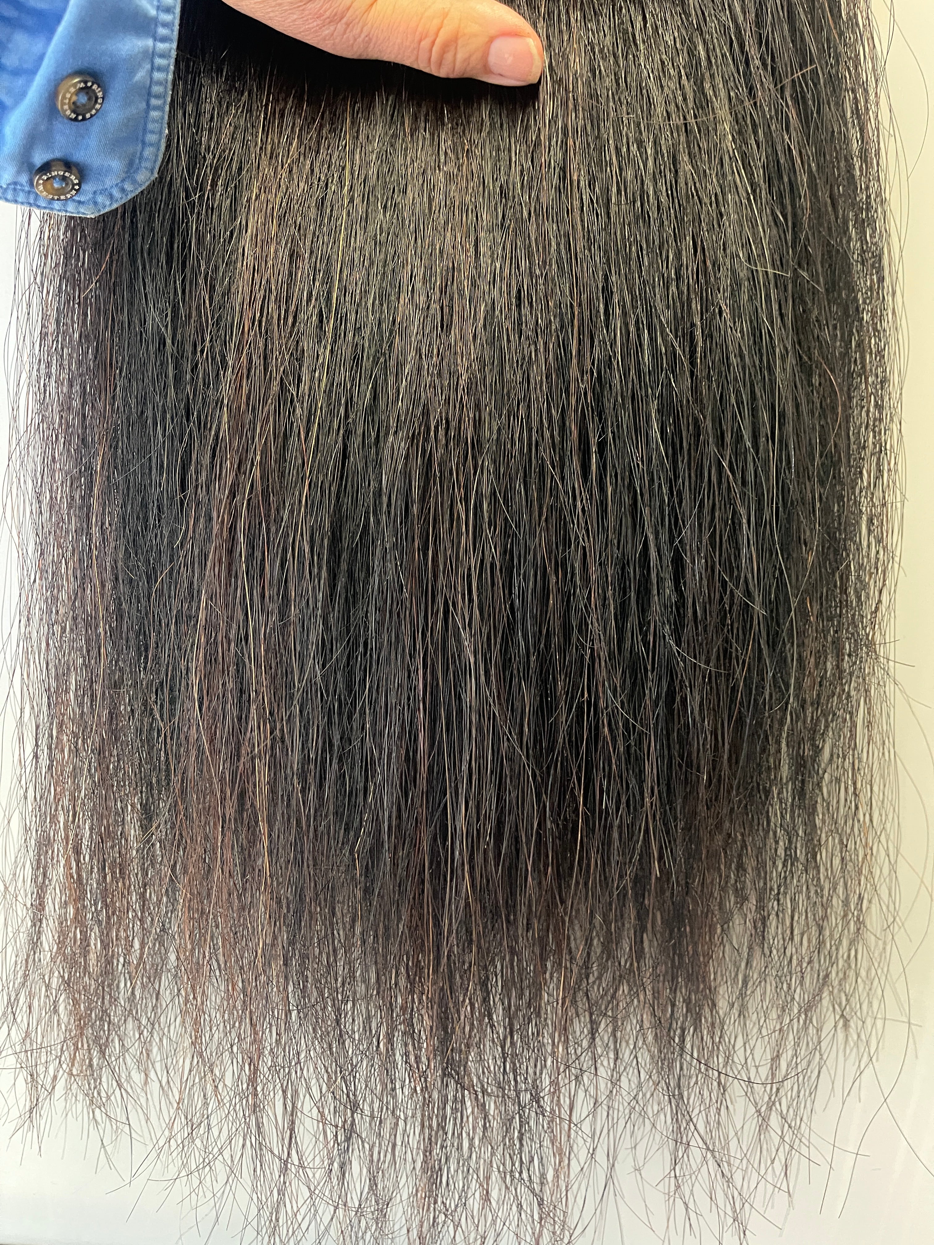 Liver/ Black 70 cm long Double Thickness