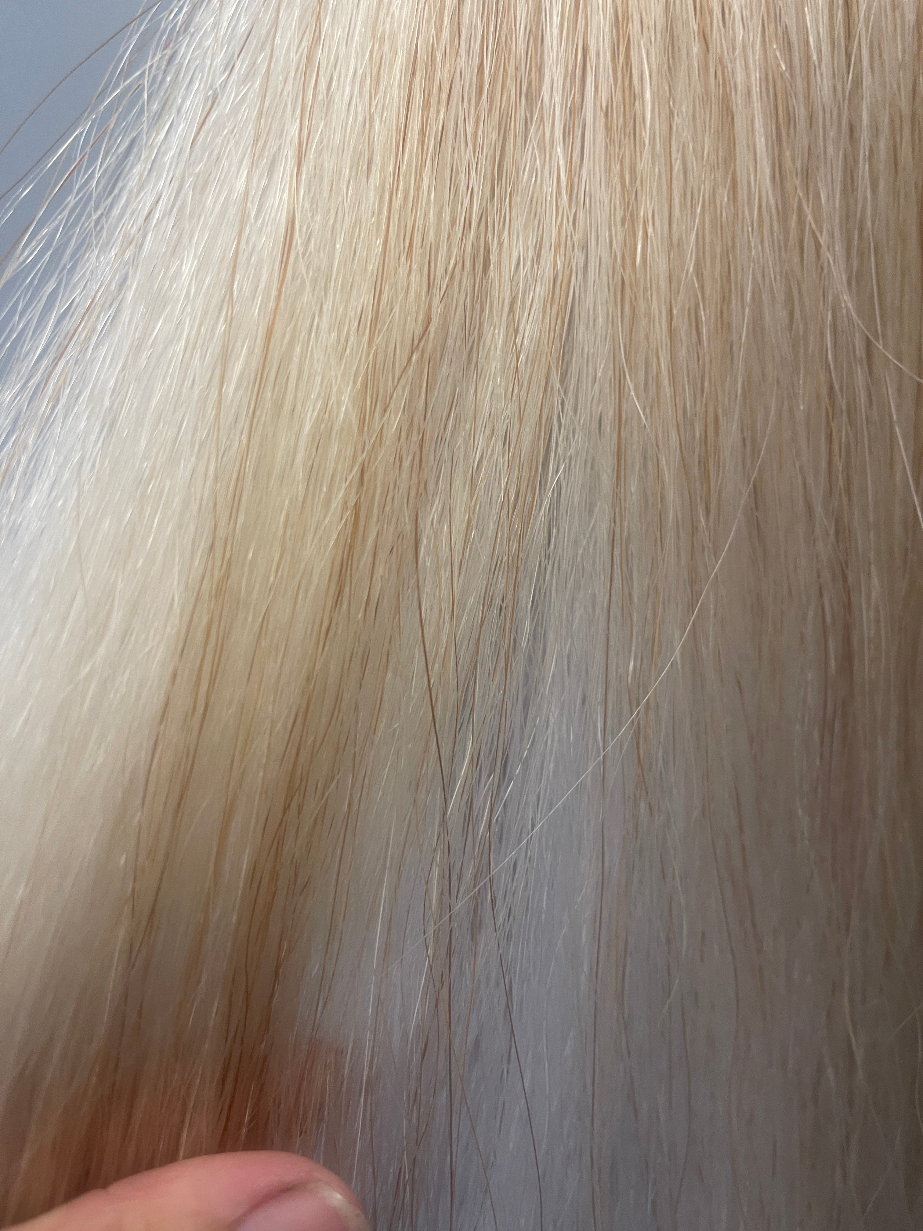 Light white flaxen Double thickness 66 cm long cut end