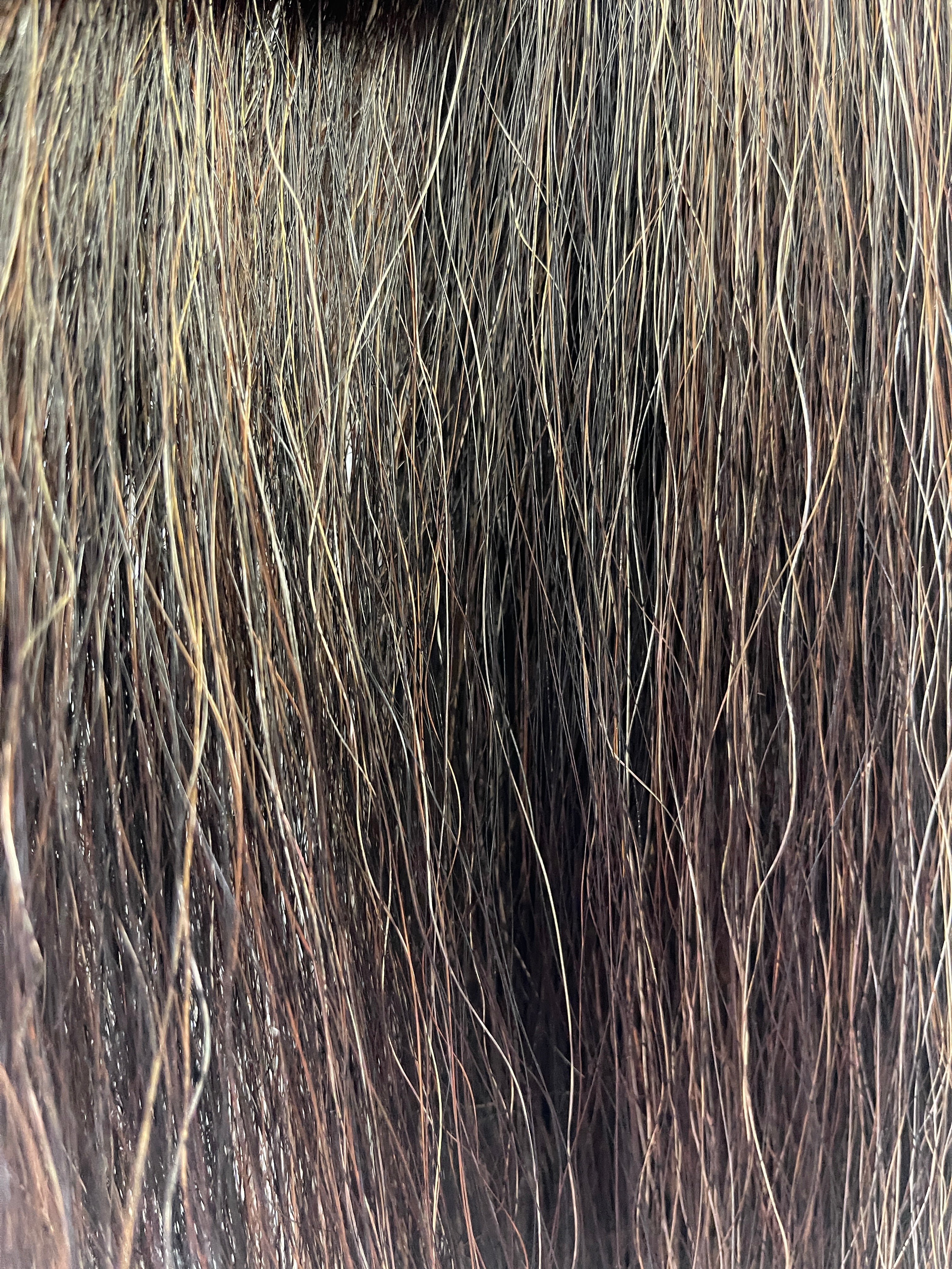 Dark Chestnut Flaxen mix 63cm cut end Triple Thickness