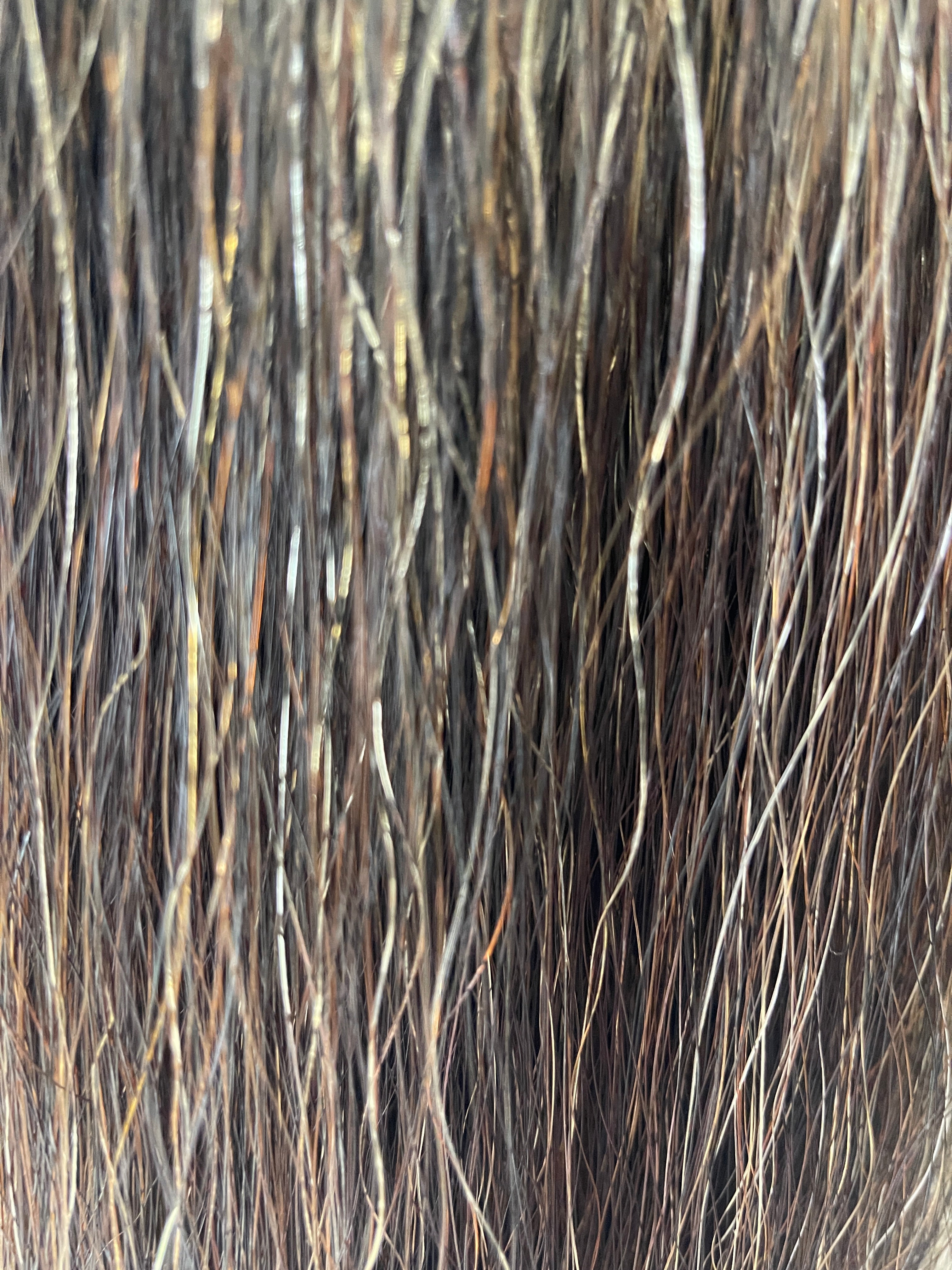 Dark Chestnut Flaxen mix 63cm cut end Triple Thickness