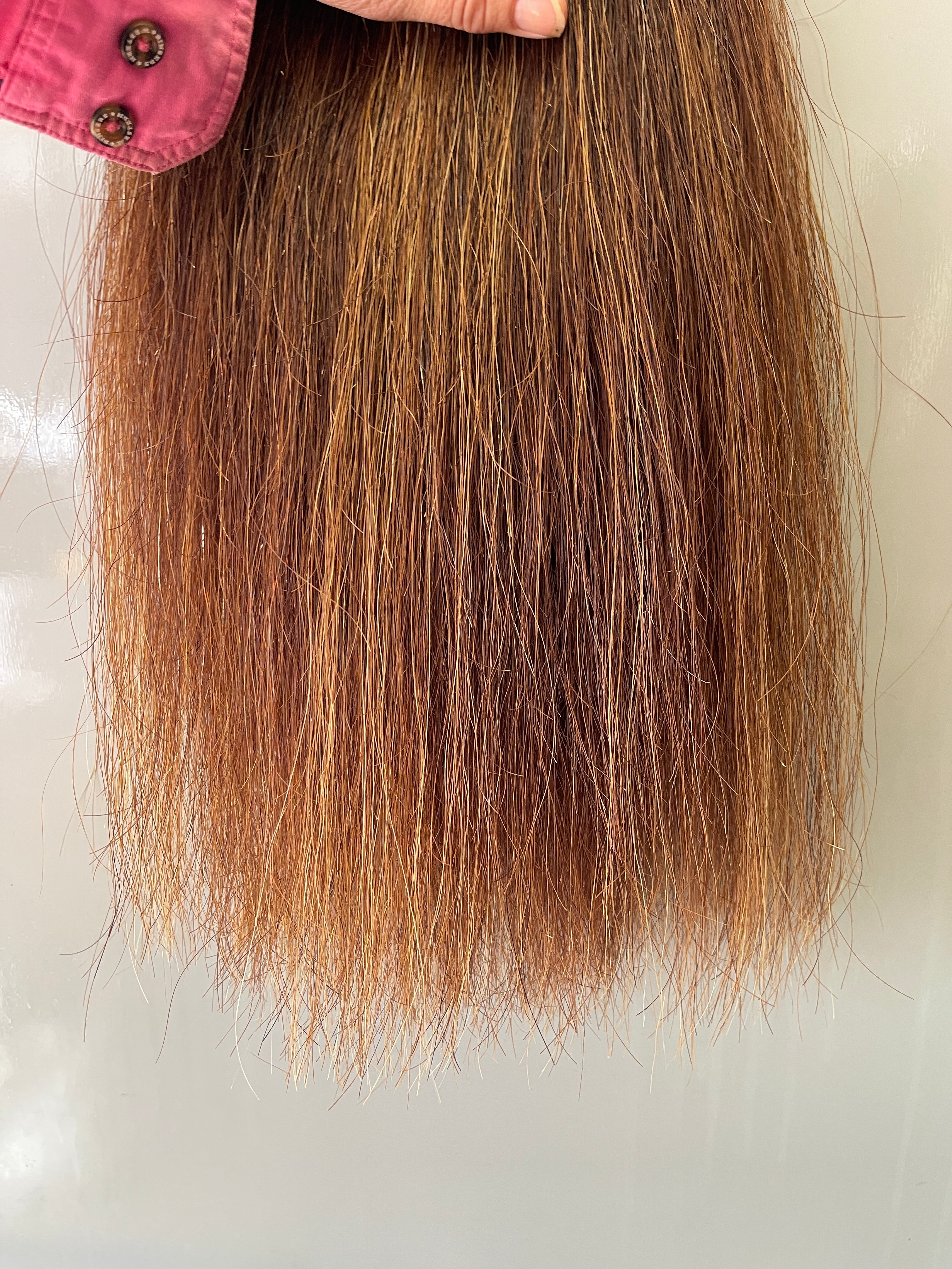 Chestnut Blend  Double Thickness ( 2 times) 62 cm cut end