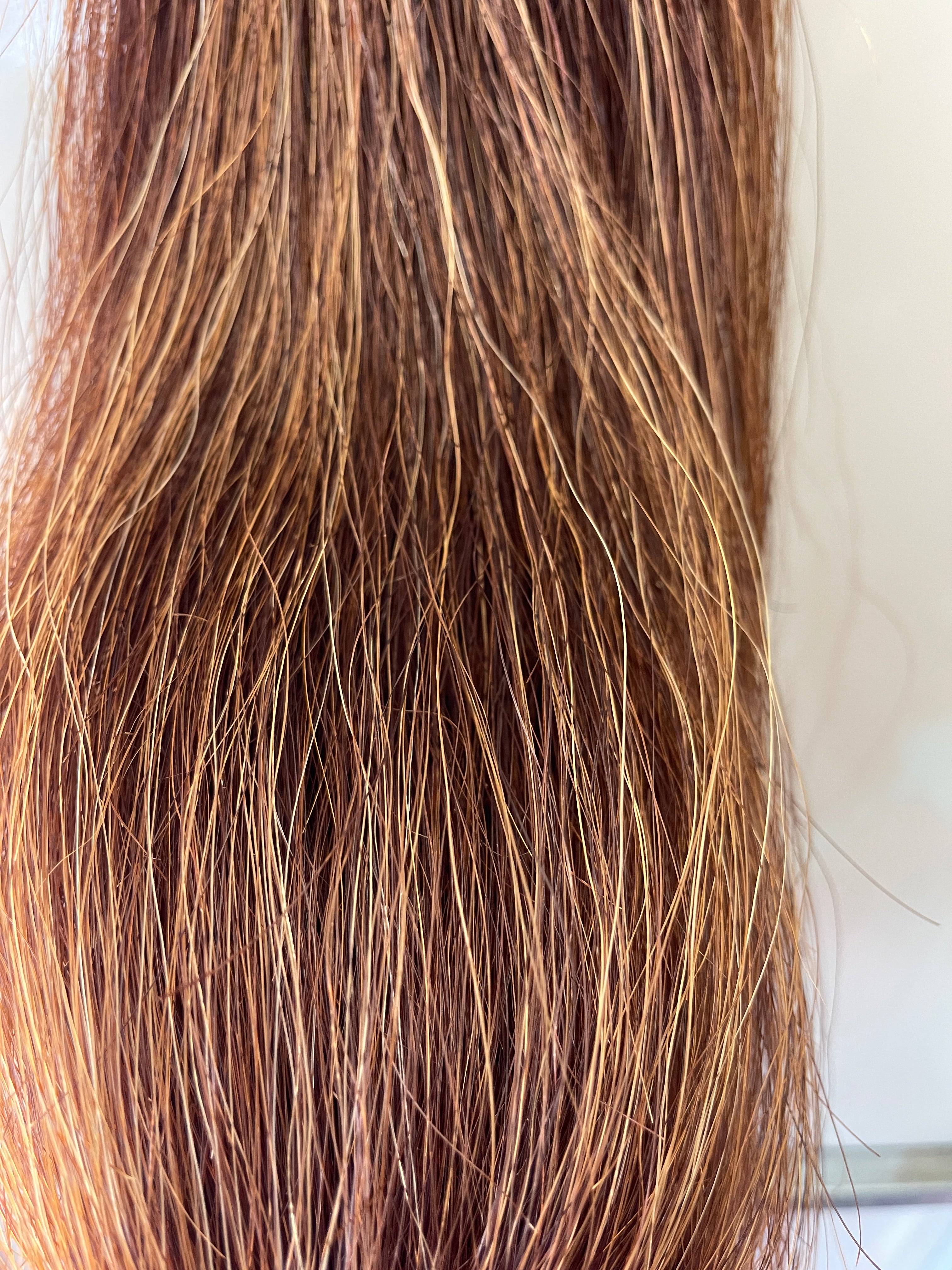 Chestnut Blend  Double Thickness ( 2 times) 62 cm cut end