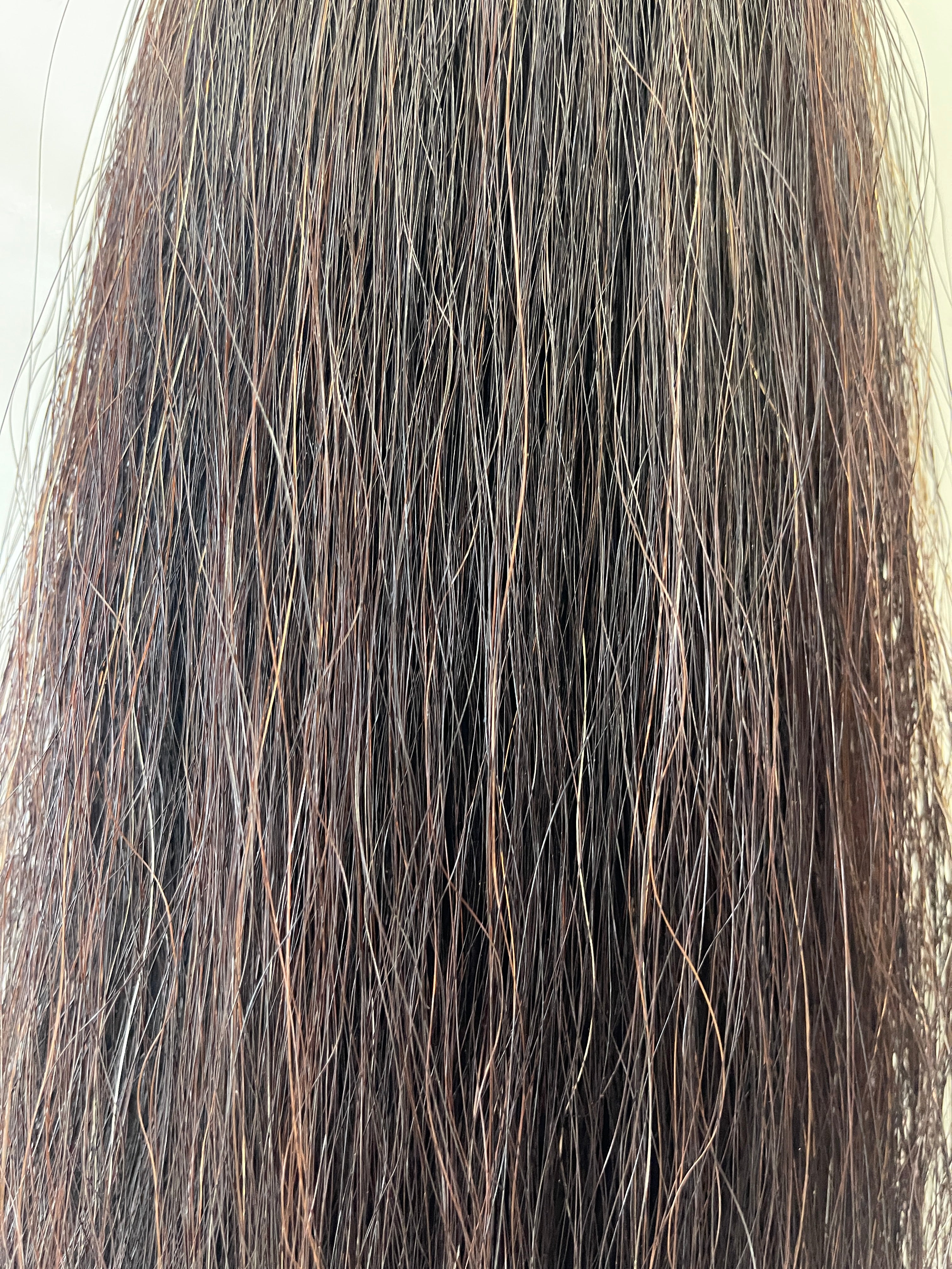 Weighted Dark liver chestnut 55 cm Double thickness final weight 520g