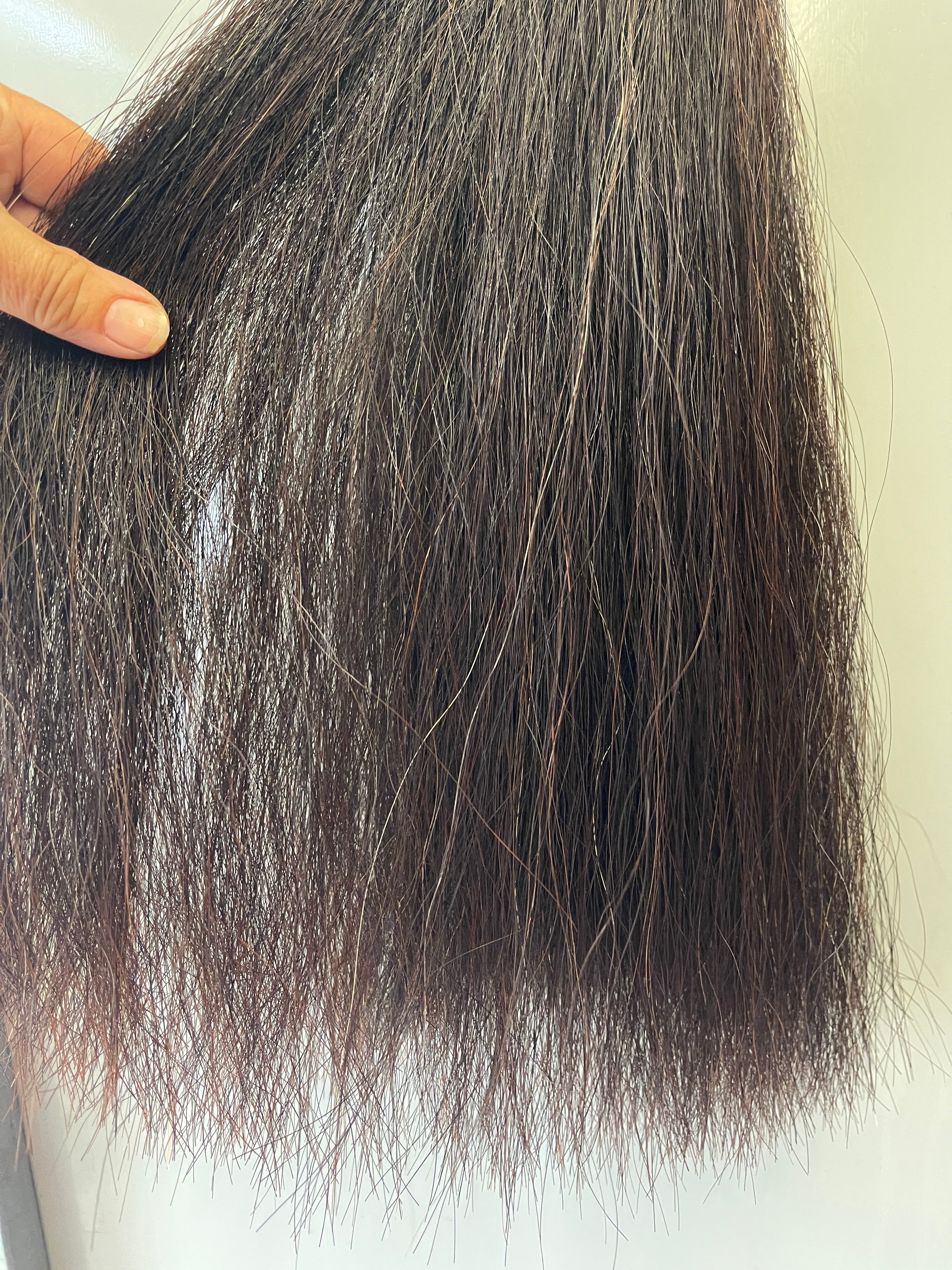 Weighted Dark liver chestnut 55 cm Double thickness final weight 520g