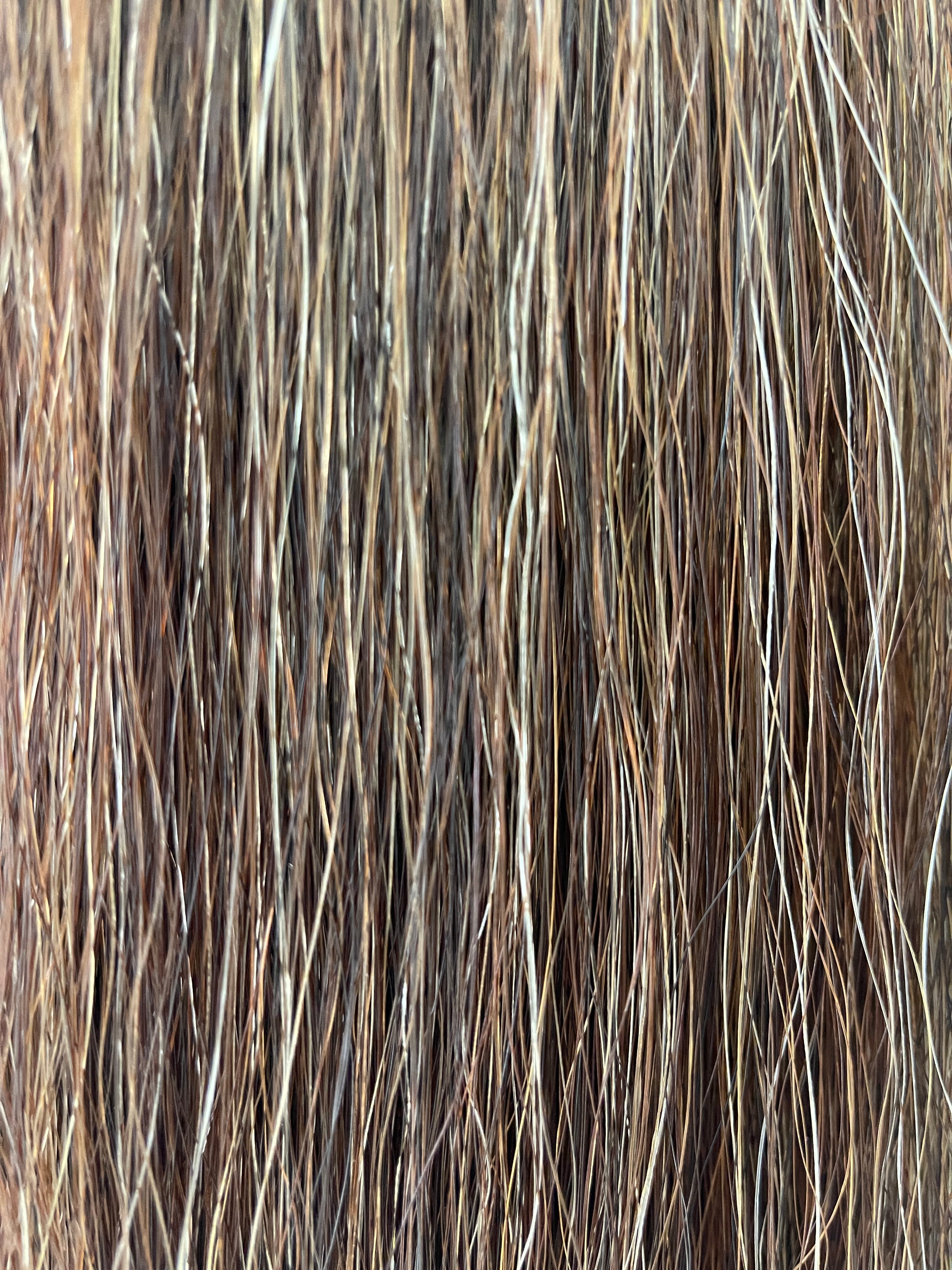 Weighted Darker Chestnut Mix flaxen blend 61 cm cut end  Double thickness. Final weight 710g