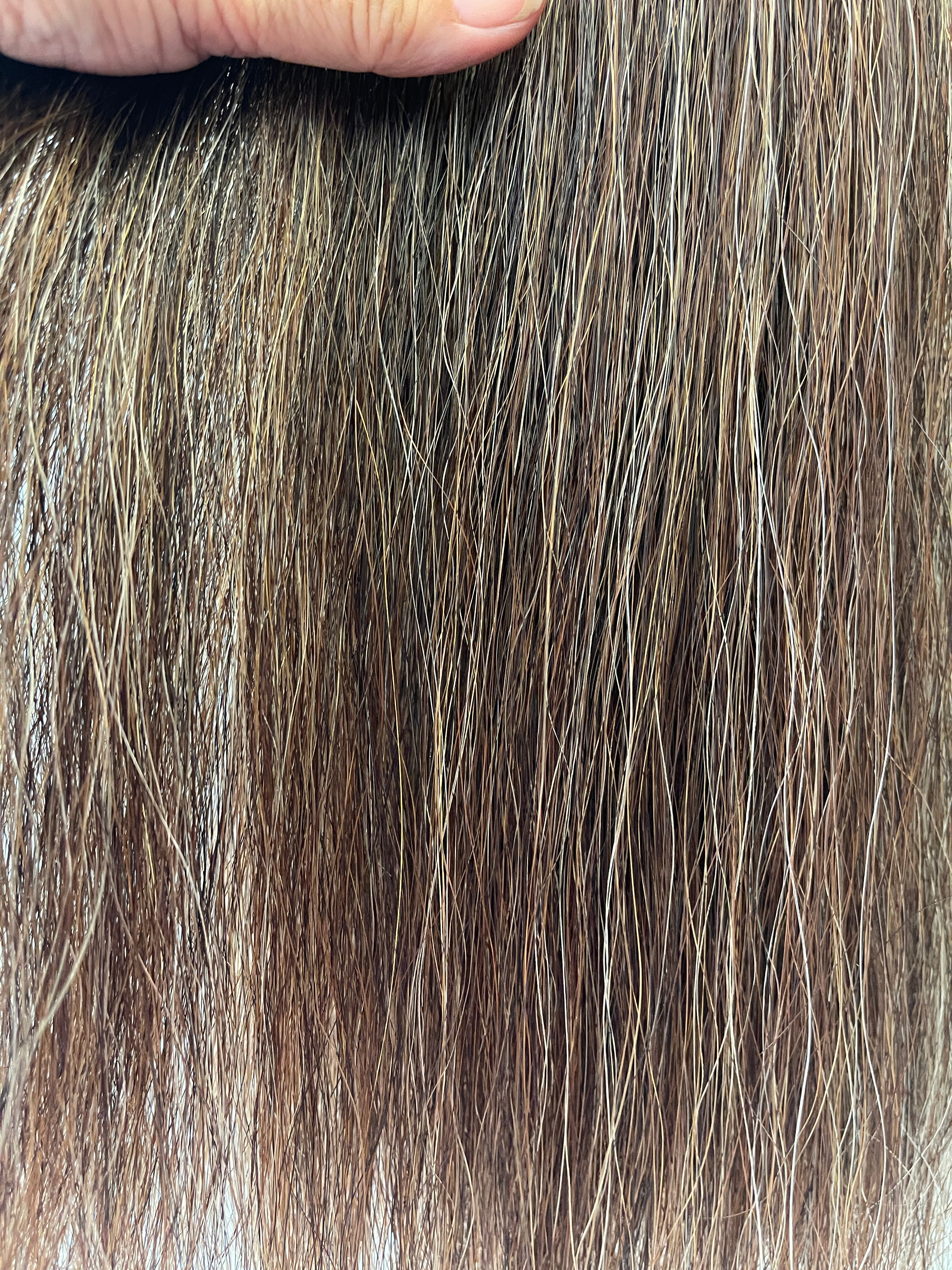 Weighted Darker Chestnut Mix flaxen blend 61 cm cut end  Double thickness. Final weight 710g