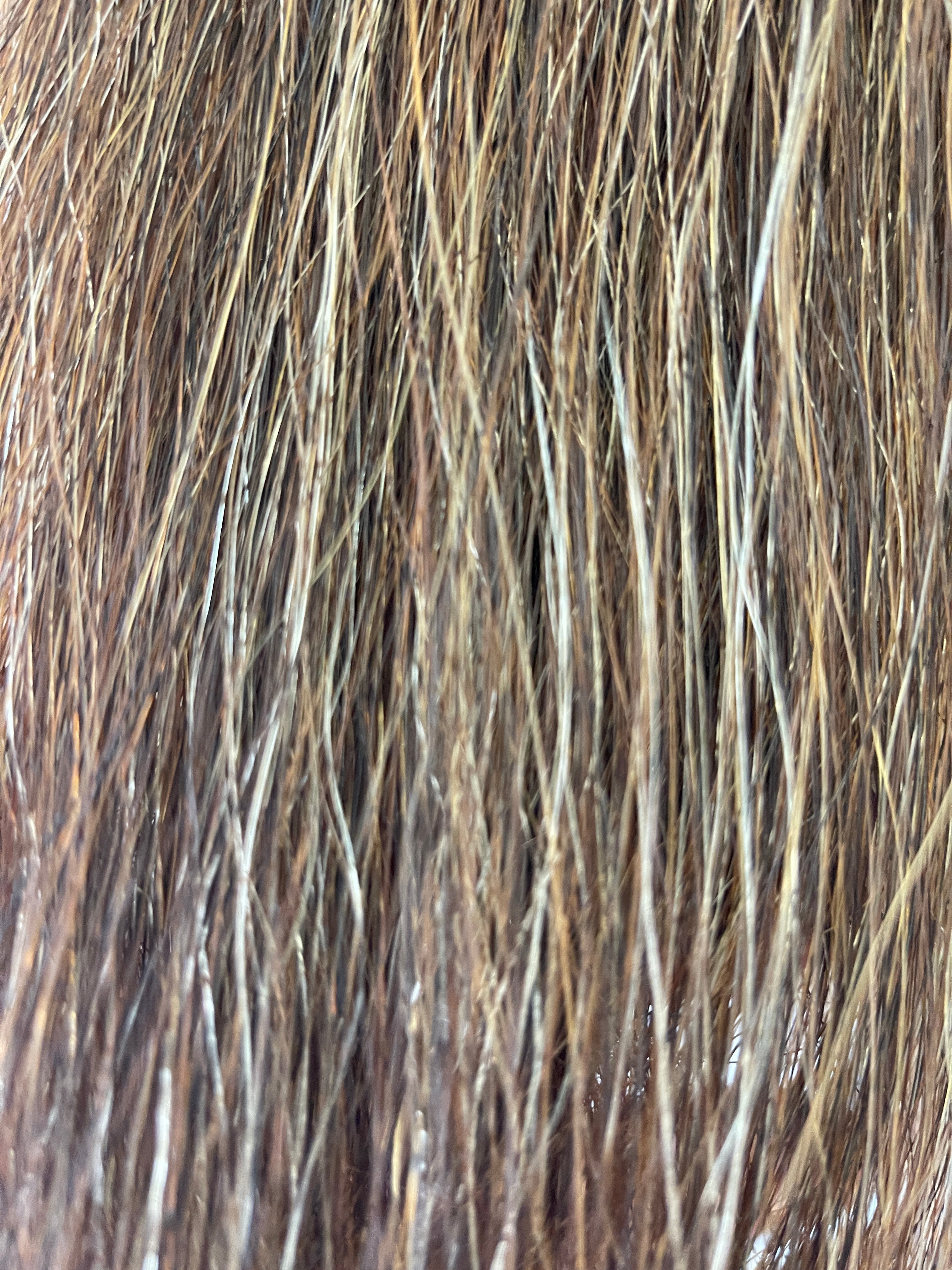 Weighted Darker Chestnut Mix flaxen blend 61 cm cut end  Double thickness. Final weight 710g