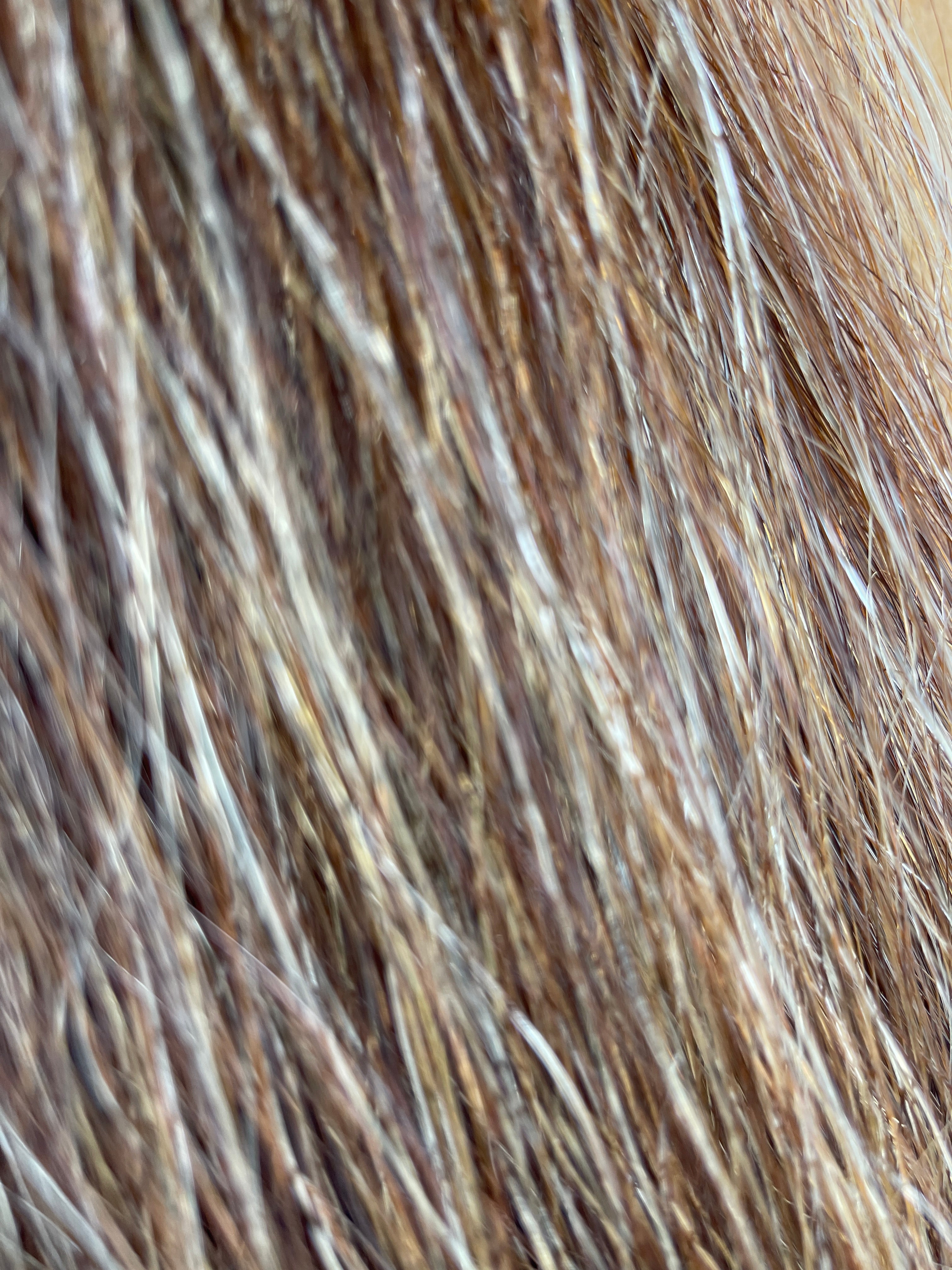 Chestnut Flaxen Blend Full ++ 54cm cut end