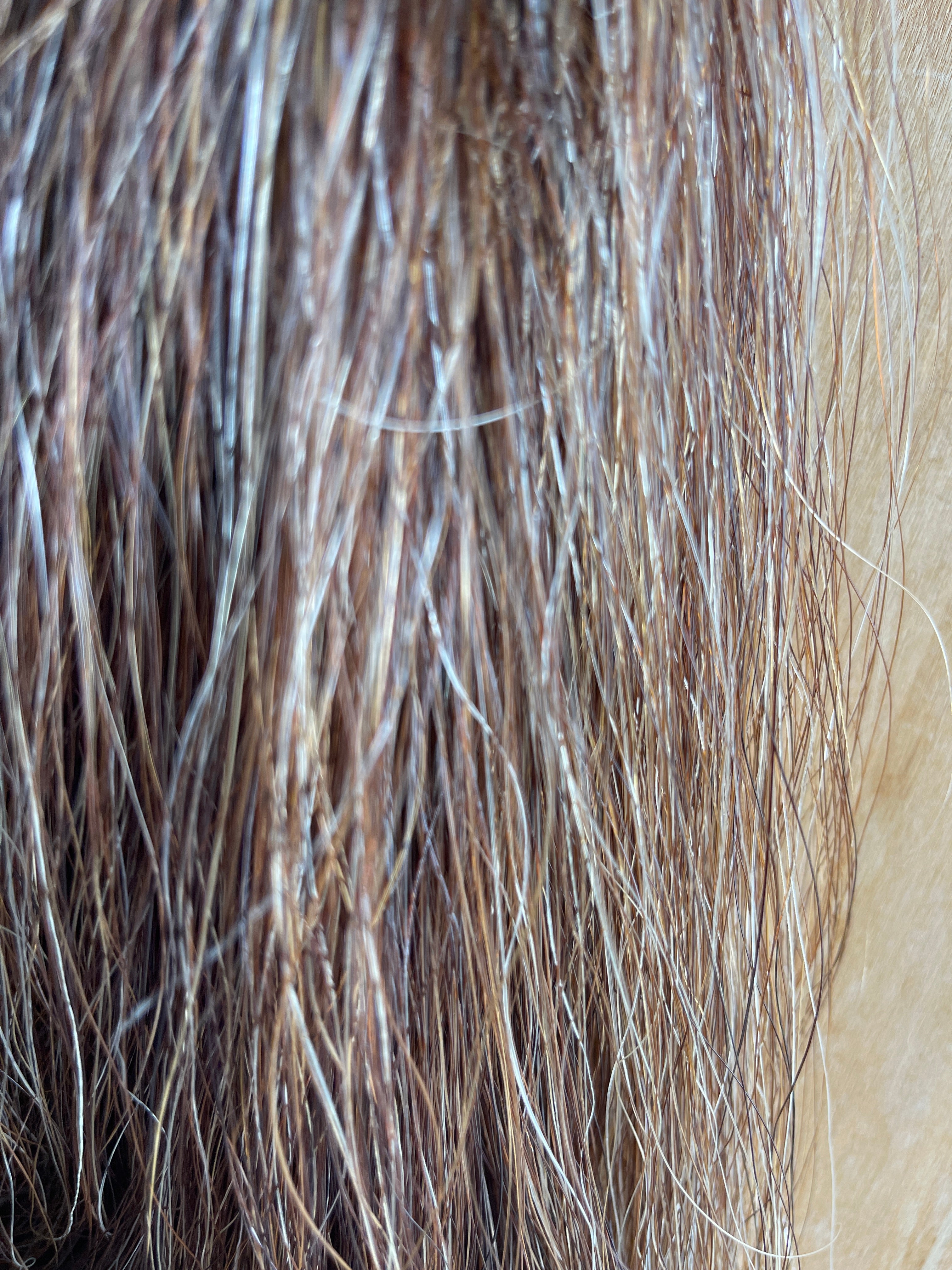 Chestnut Flaxen Blend Full ++ 54cm cut end