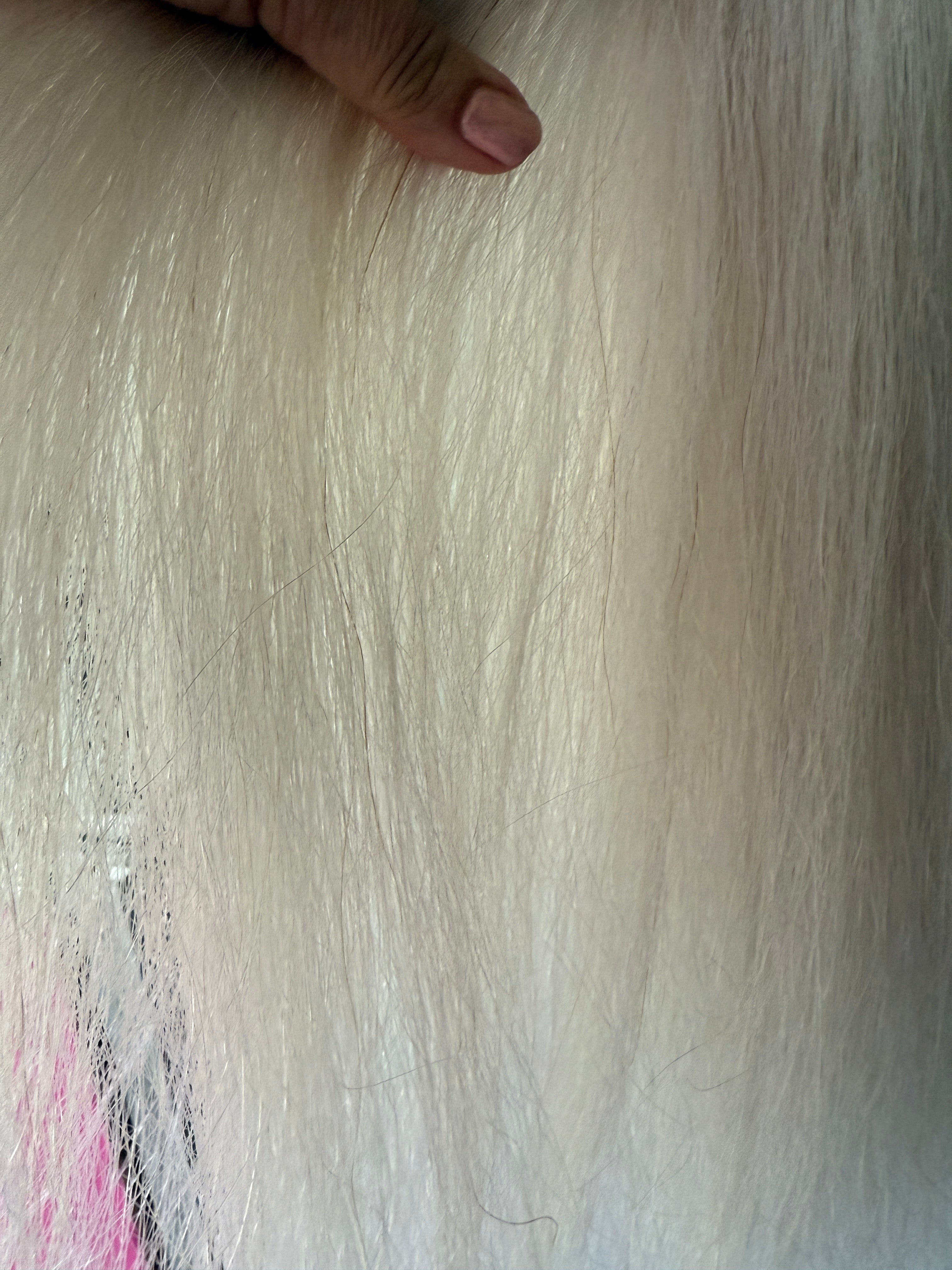 White false tail 64 cm natural end Double Thickness