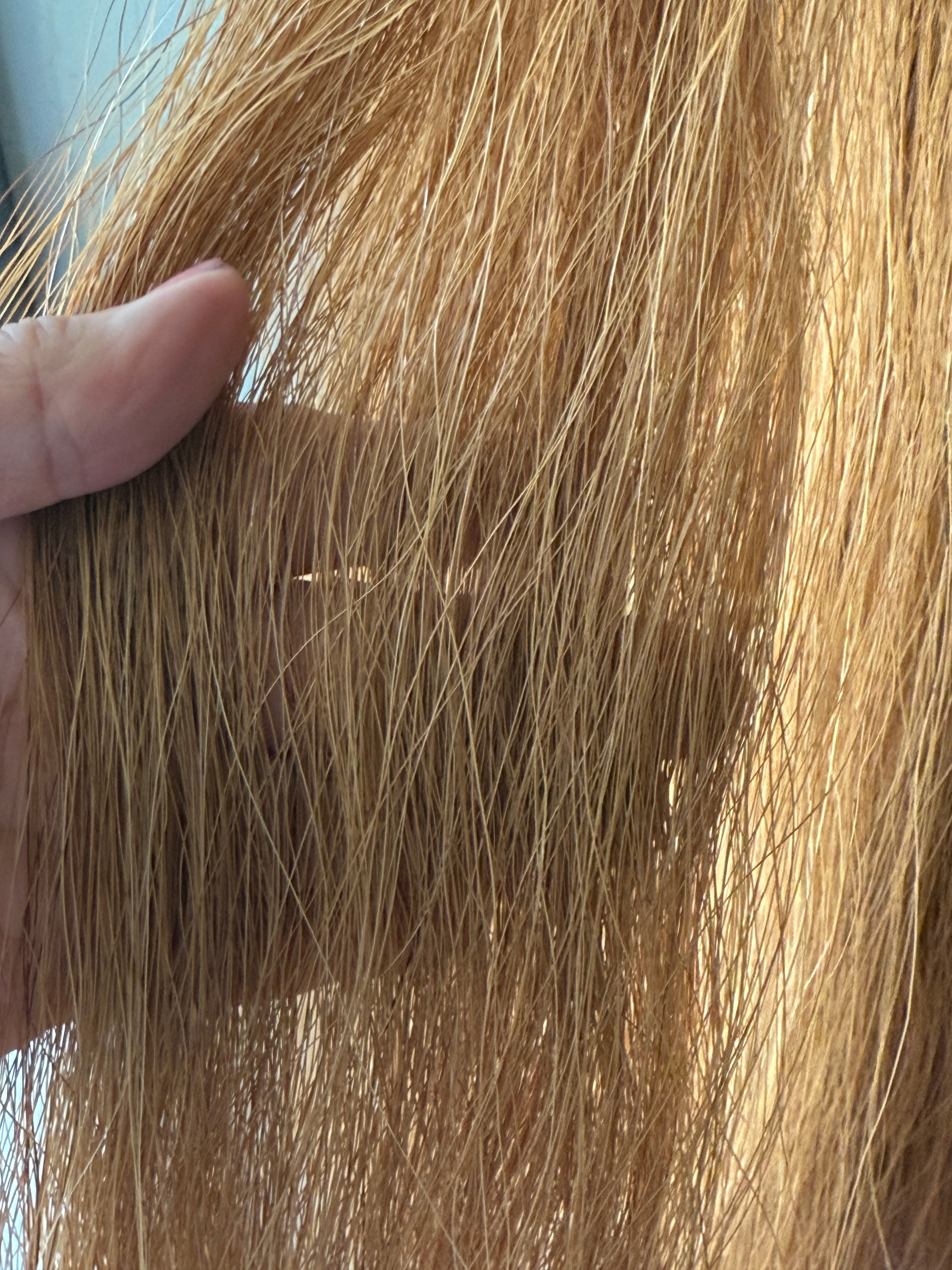 Qhorse length Very light chestnut 100 cm cut end Double thickness