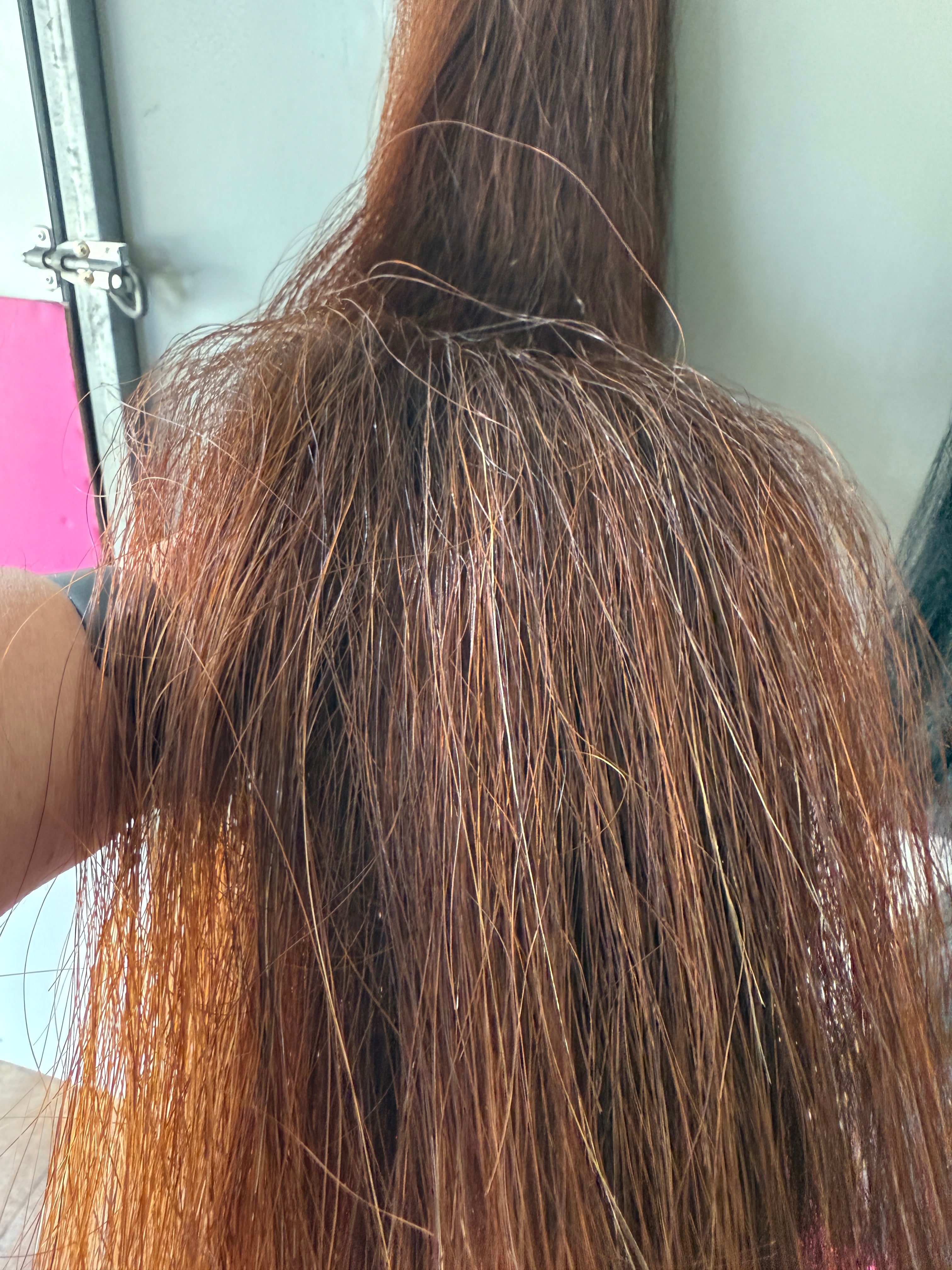 Qhorse length 100 cm cut end Red Chestnut Triple thickness 750g of hair