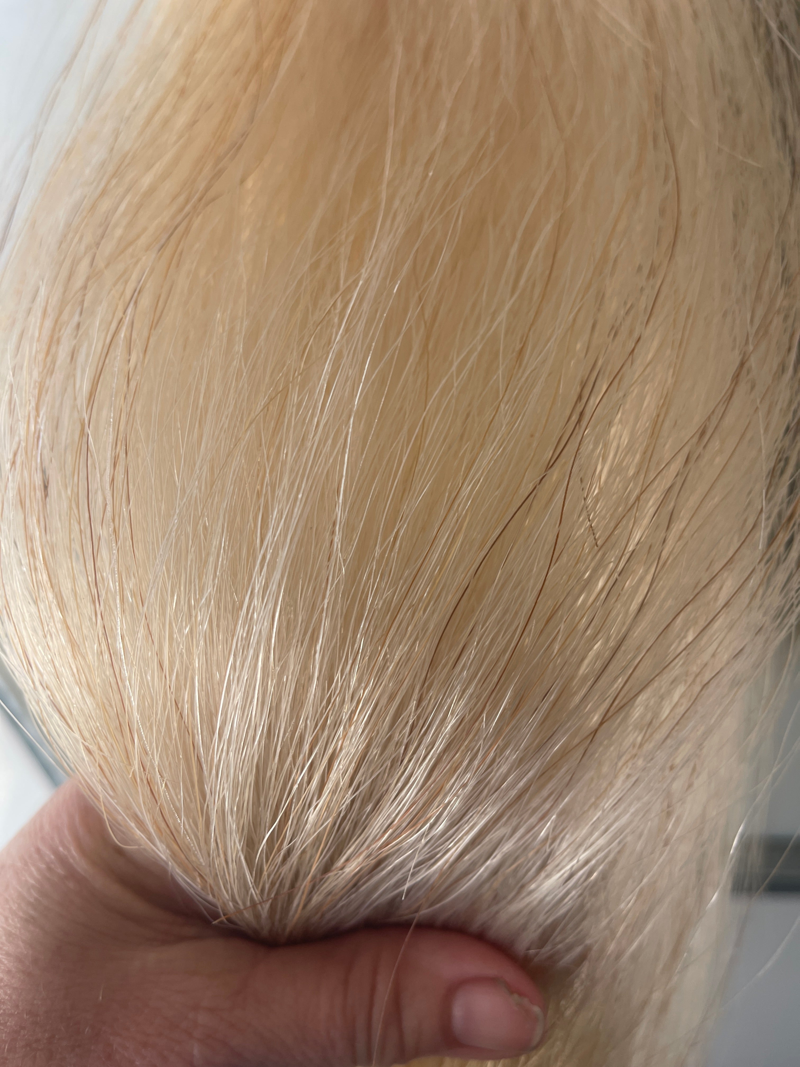 Light white flaxen Double thickness 66 cm long cut end