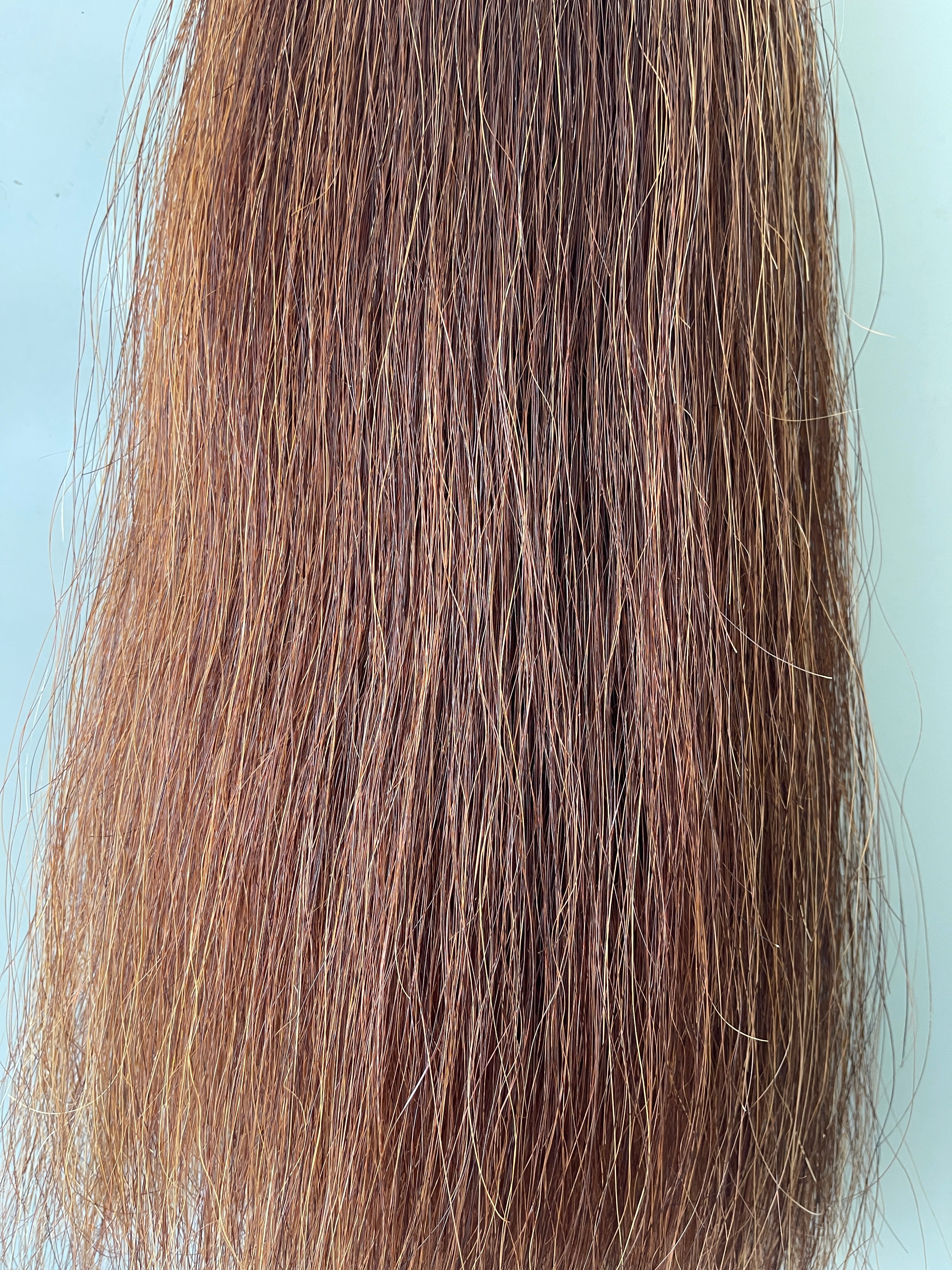 Chestnut blend Double plus about 2.5 times  71 cm natural end