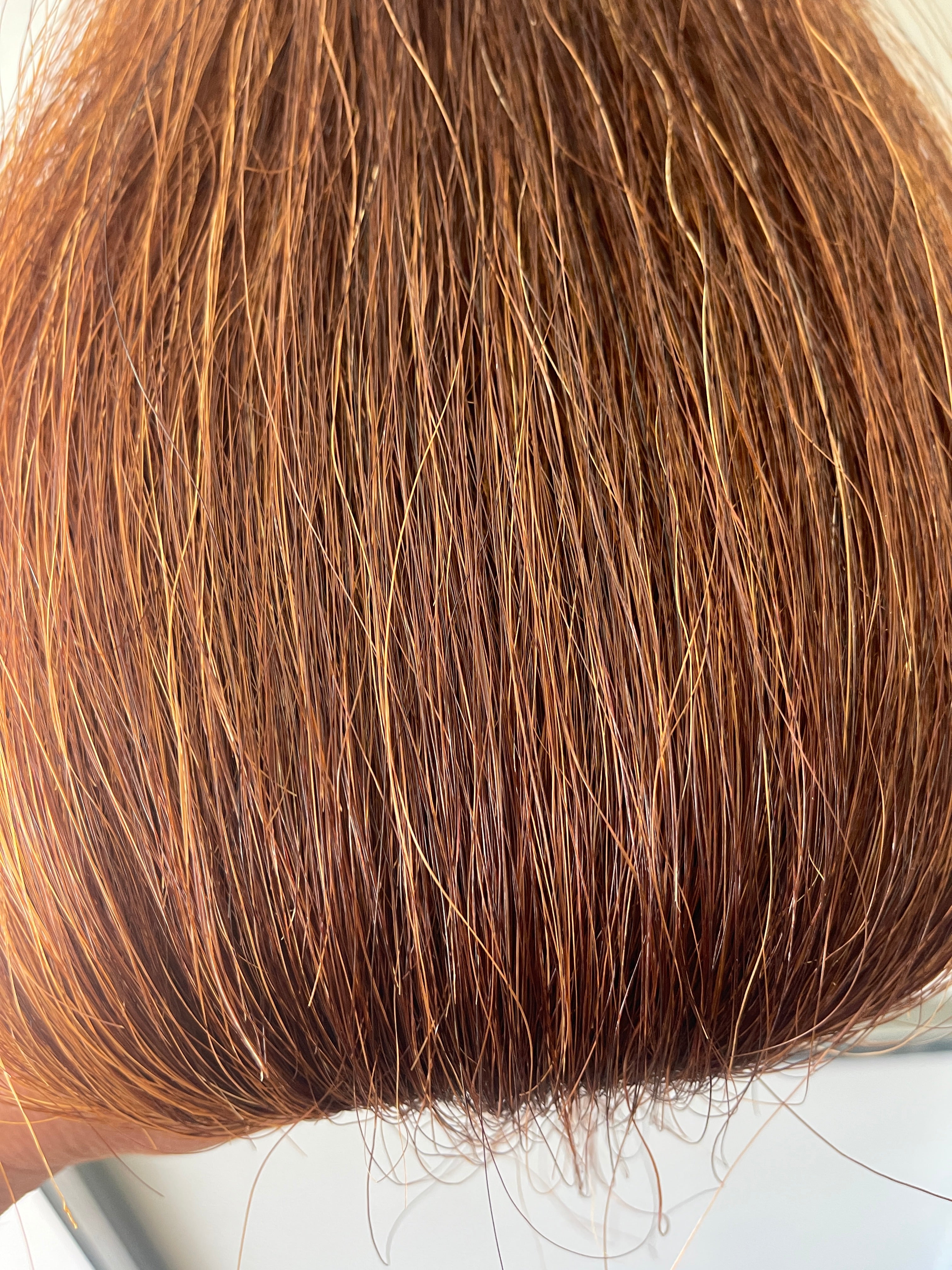 Chestnut blend Double plus about 2.5 times  71 cm natural end