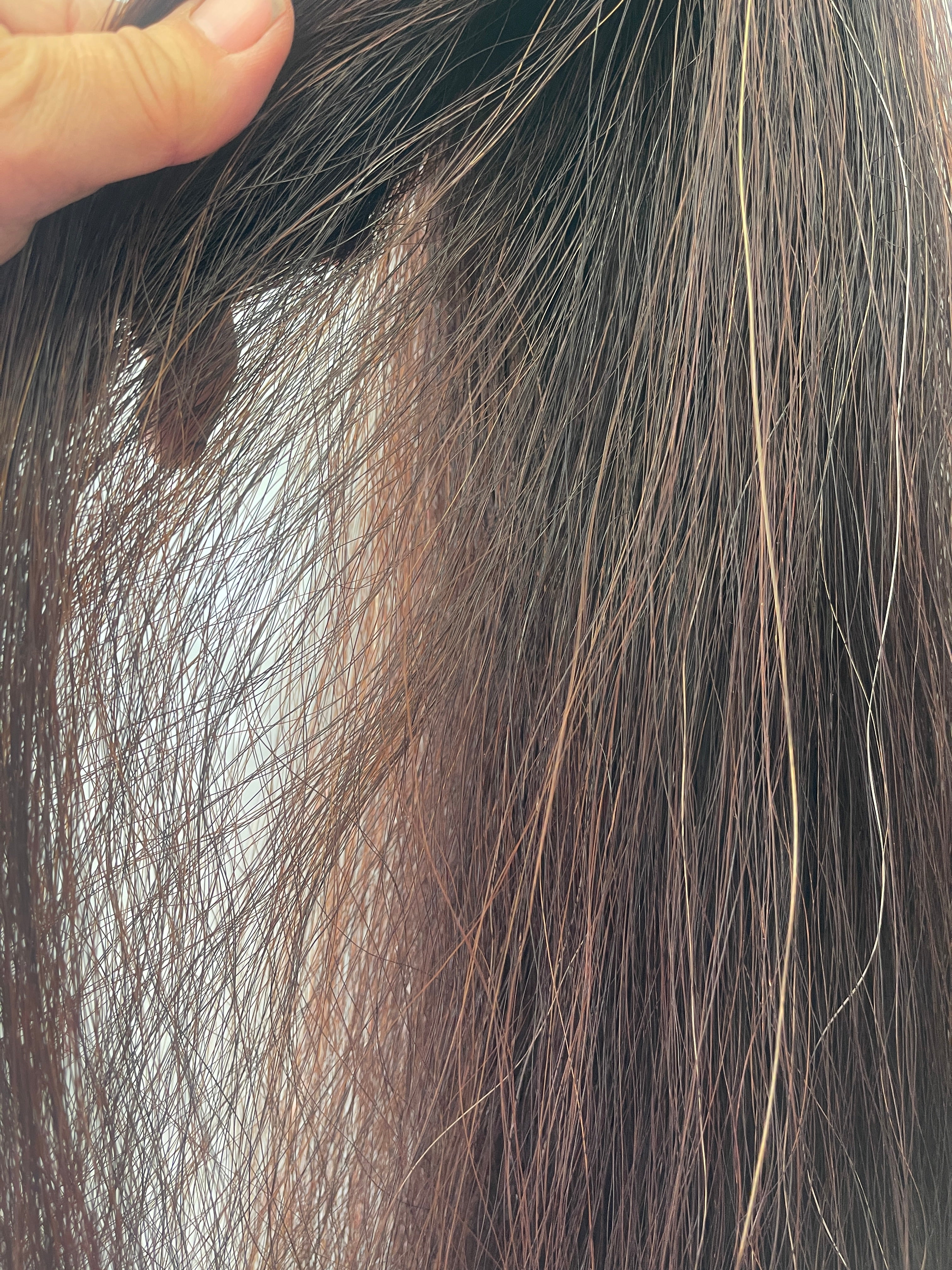 Darker red chestnut Blend 74 cm natural end Full plus (1.5 times )