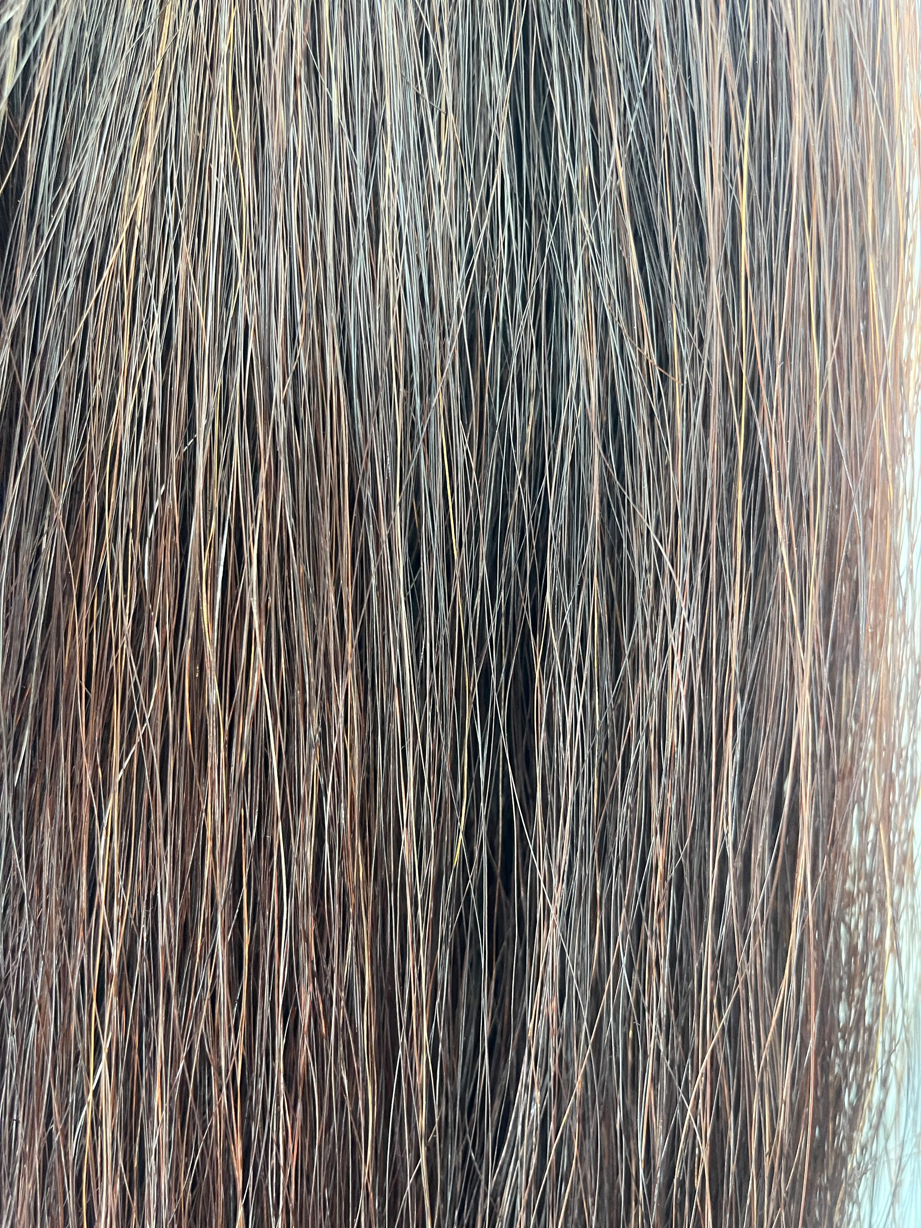 Darker red chestnut Blend 74 cm natural end Full plus (1.5 times )