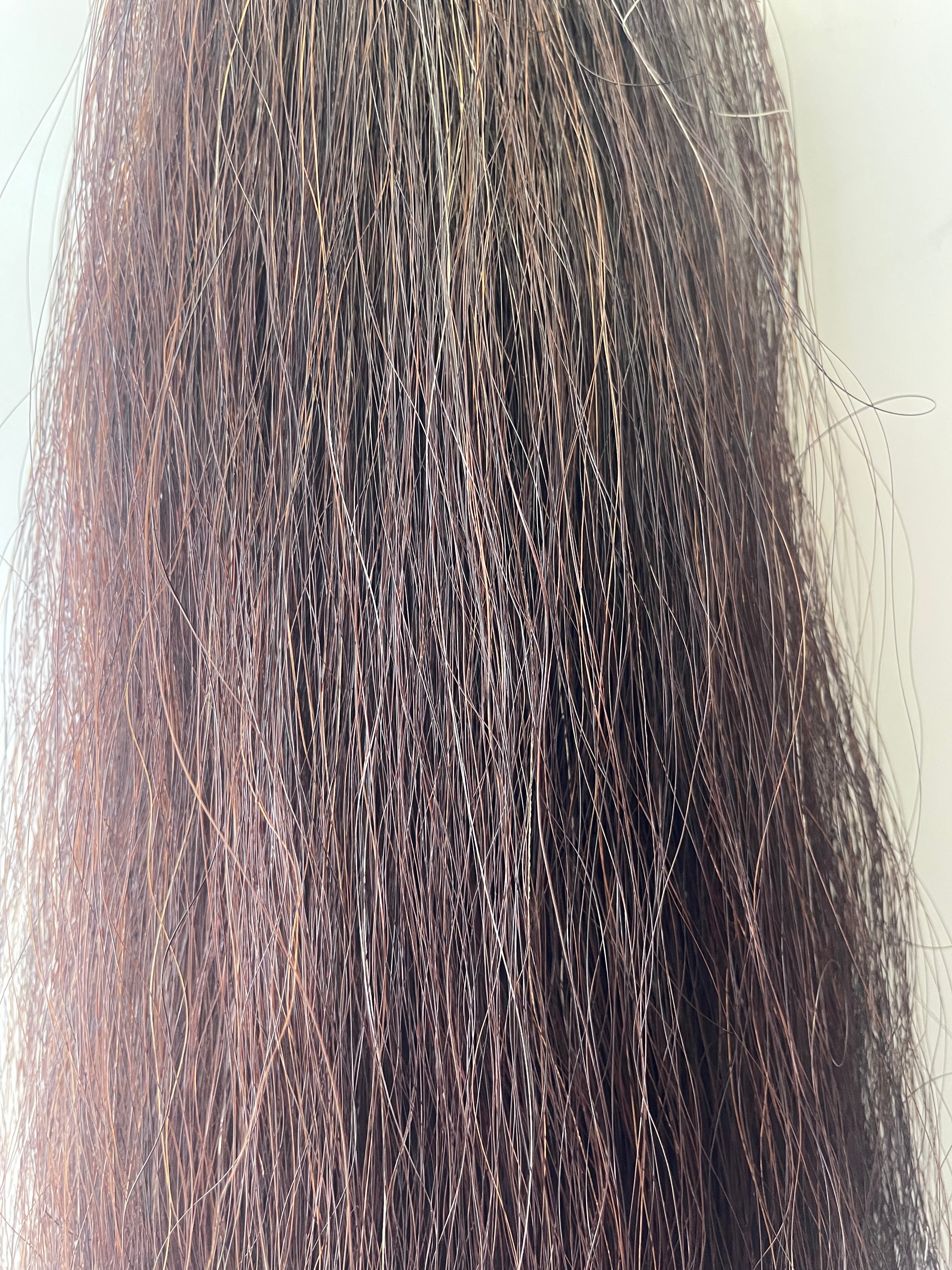 Dark chestnut Full plus Thickness 56 cm long cut end