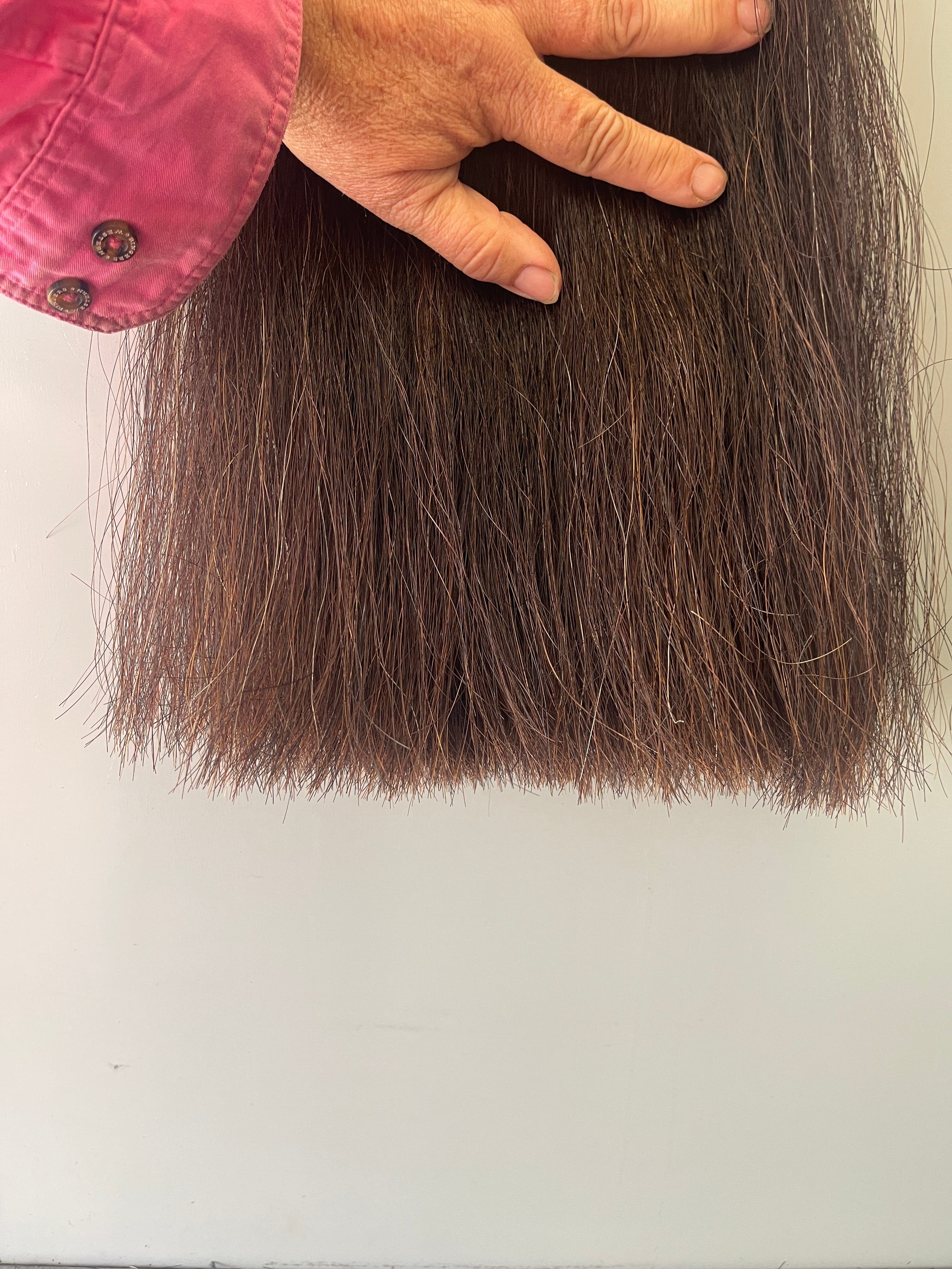 Dark chestnut Full plus Thickness 56 cm long cut end