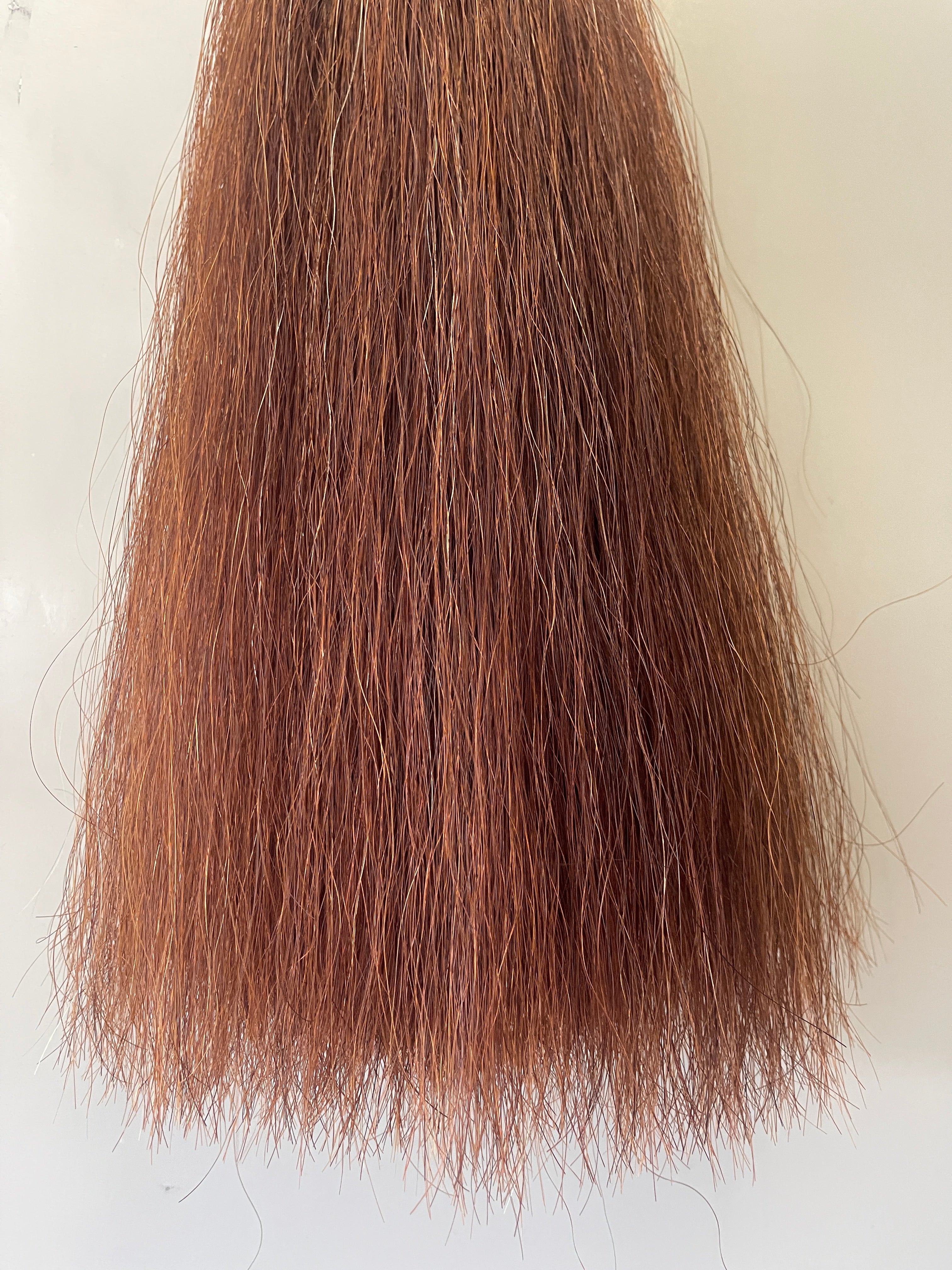 Red chestnut Double thickness 62 cm cut end